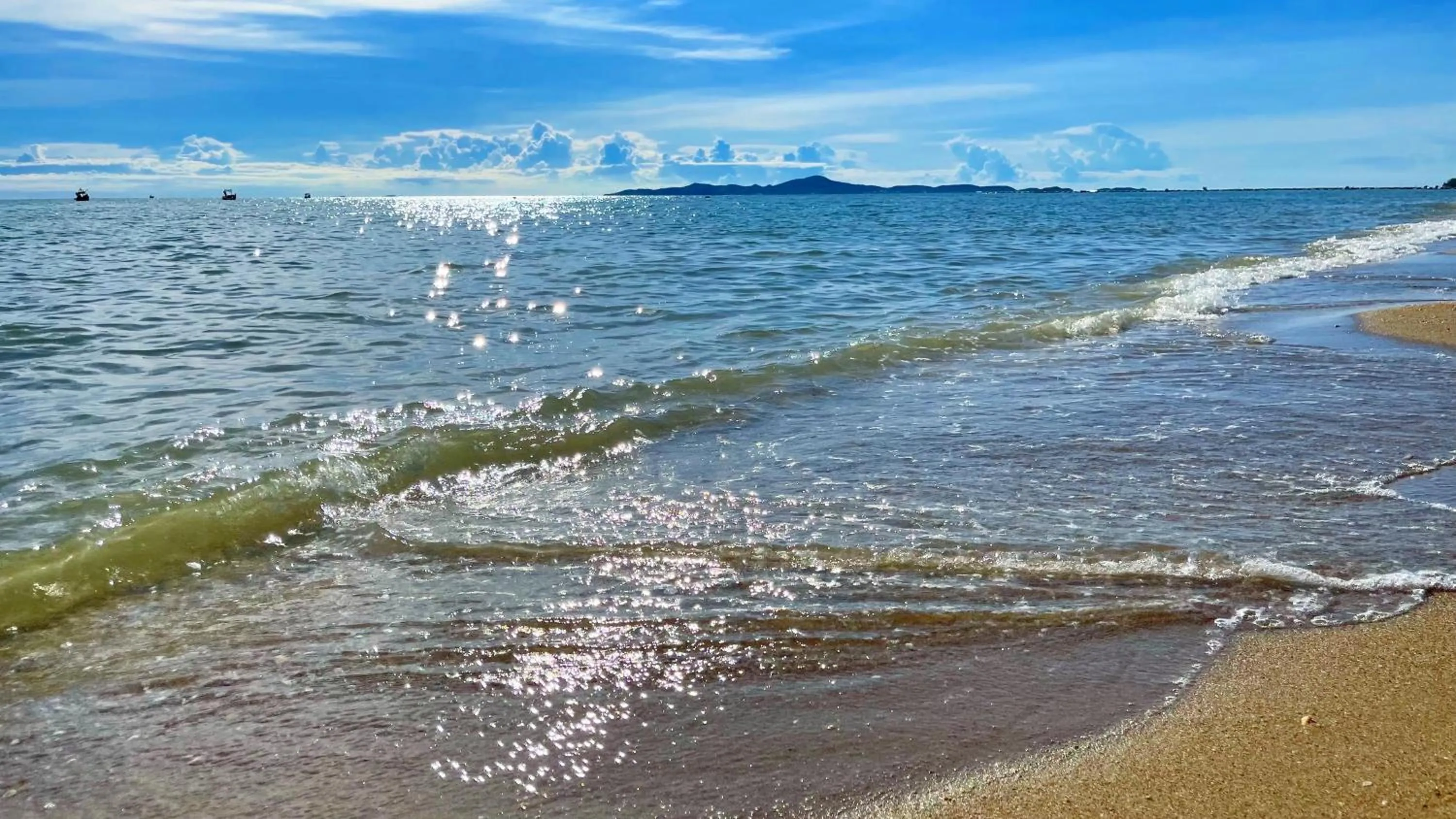 Beach in Beach Gallery House