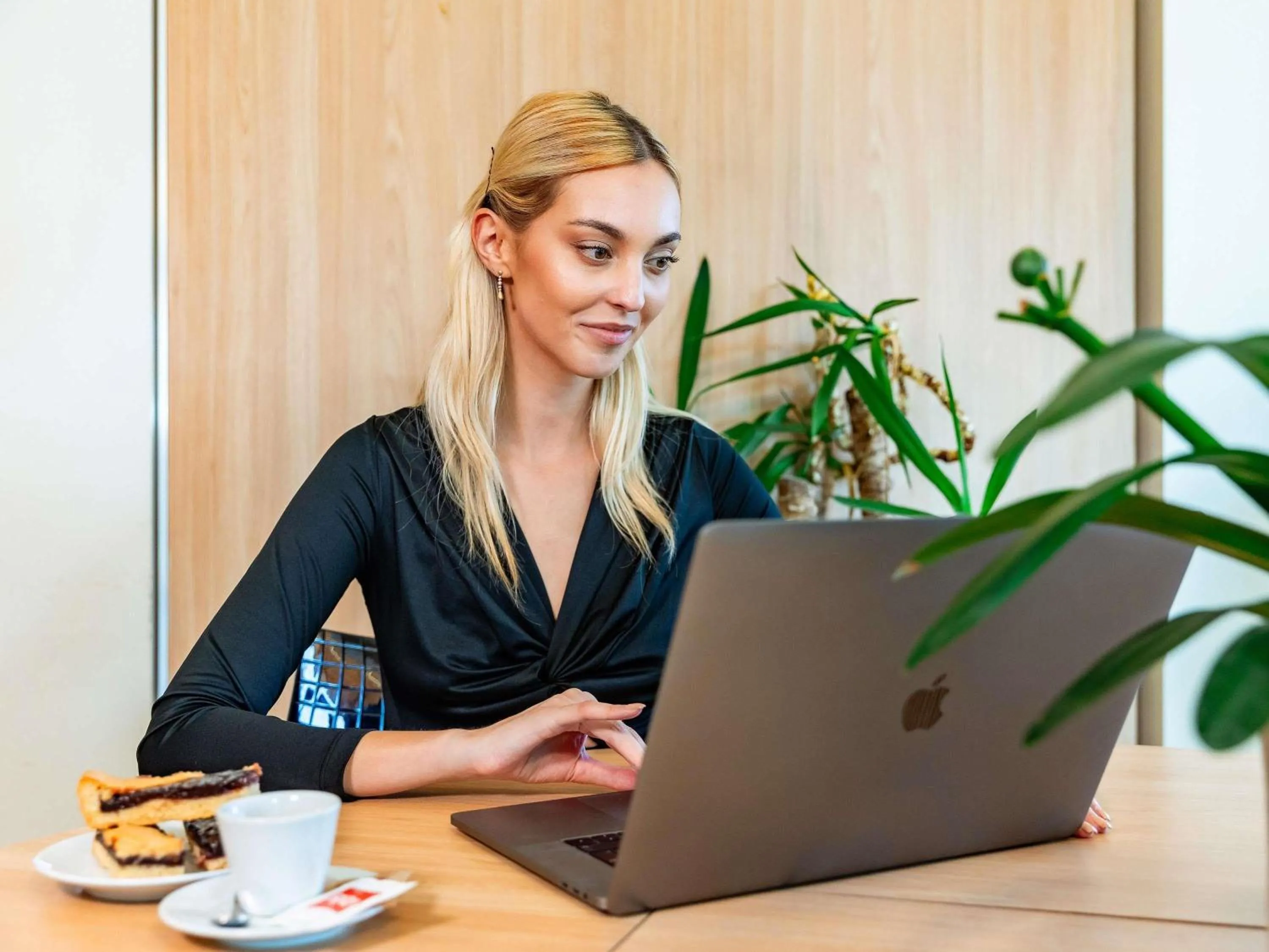 Business facilities in Ibis Como