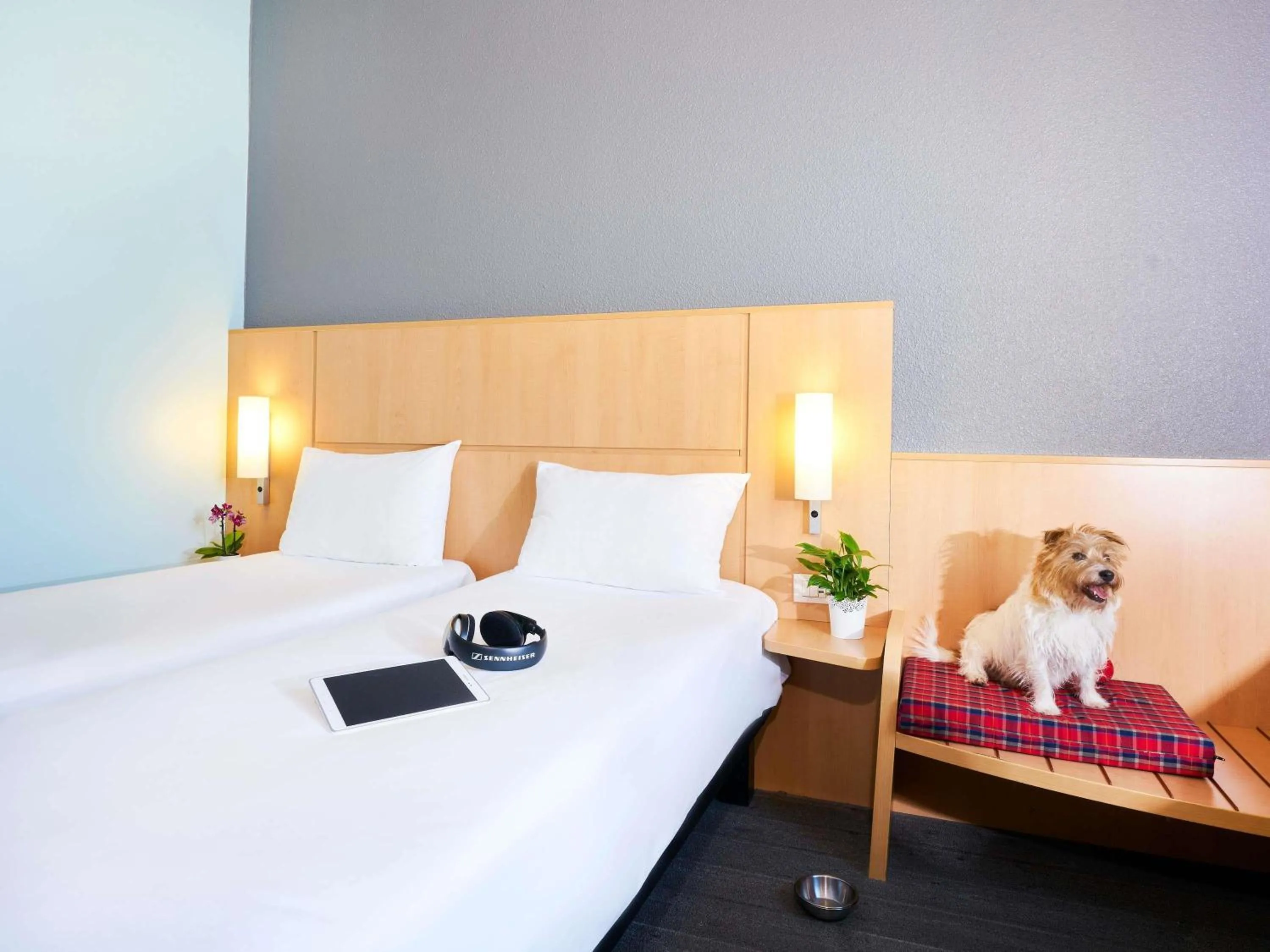 Bedroom, Bed in Ibis Como