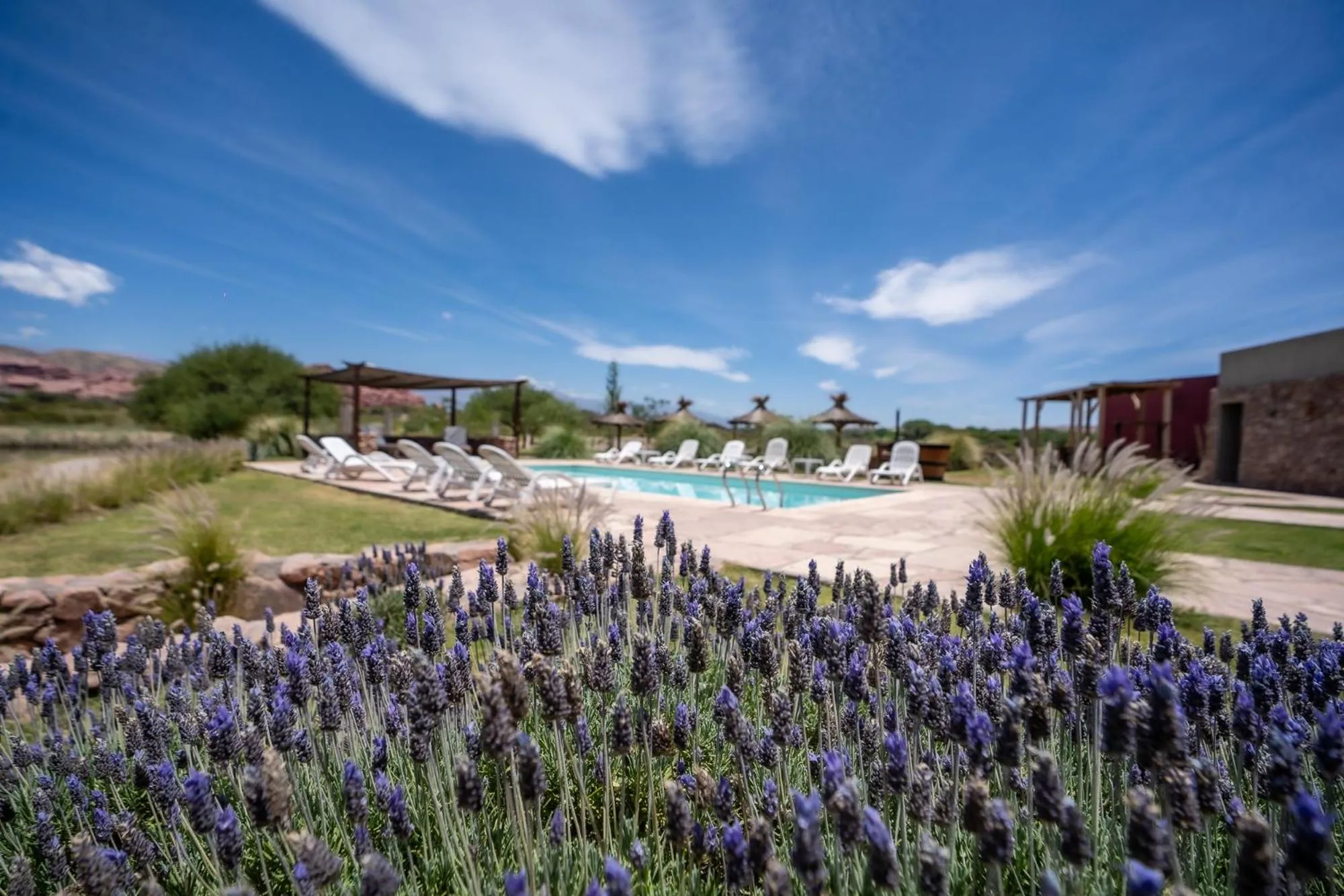 Property building in Hotel Castillos de Cafayate