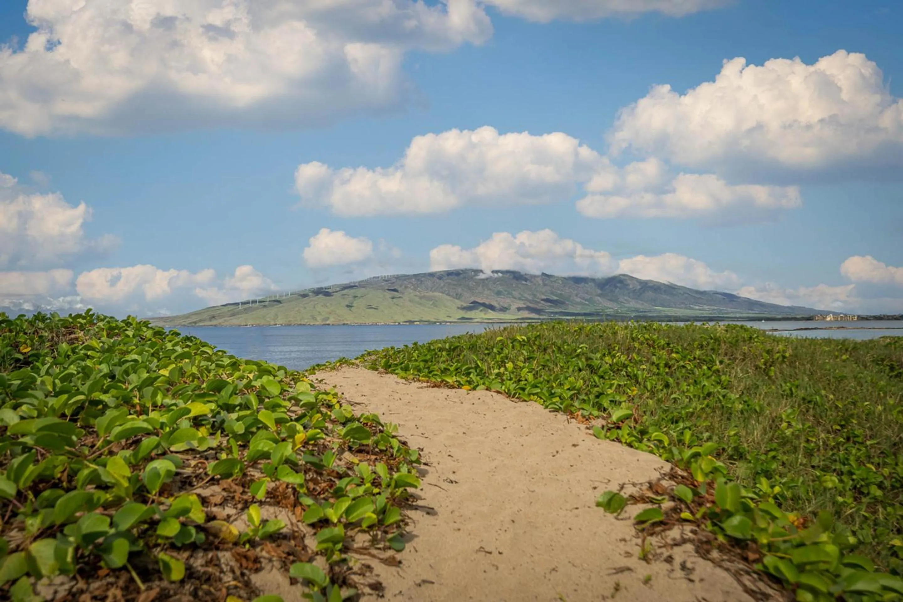 Property building in Koa Lagoon 506
