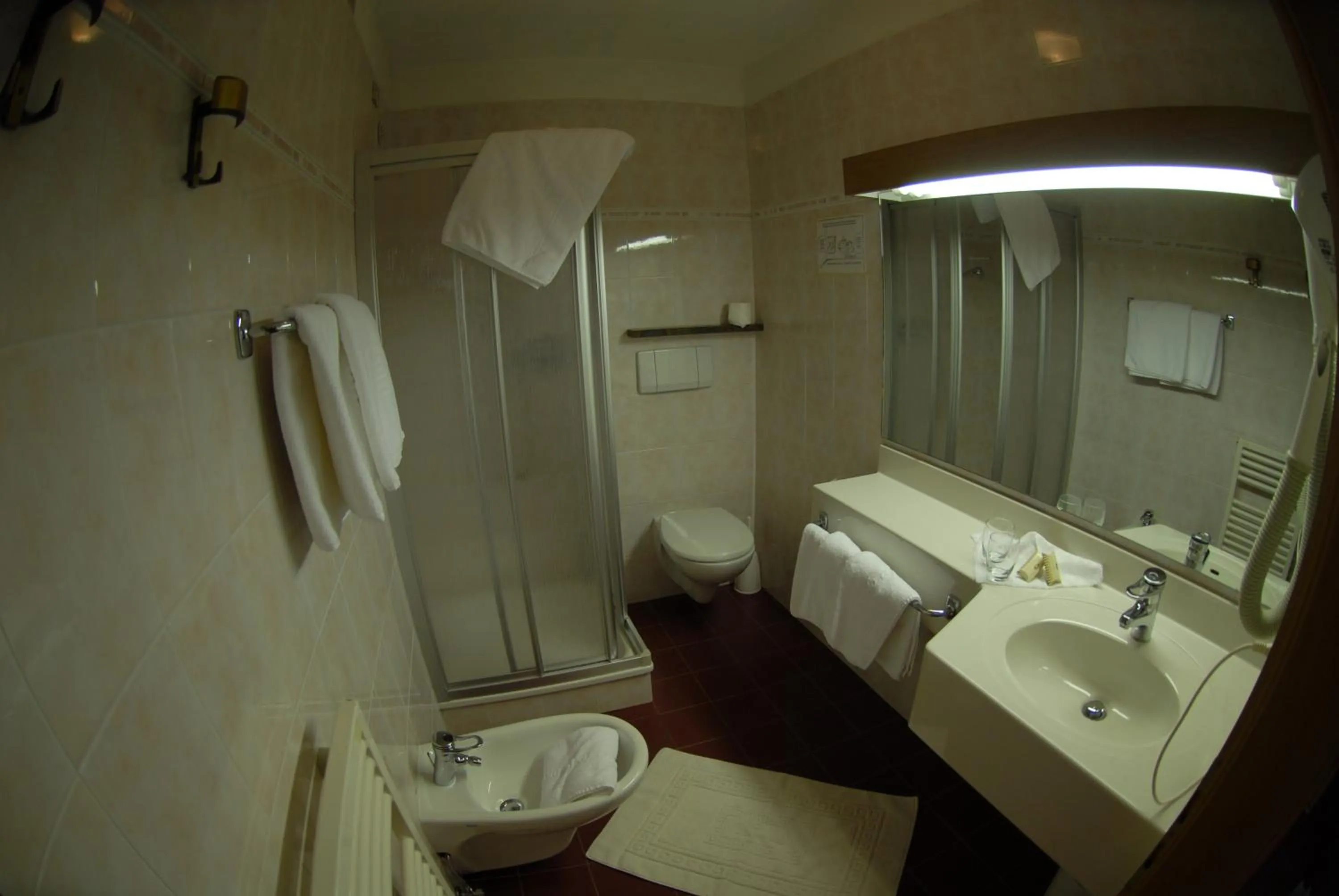 Bathroom in Hotel Catinaccio