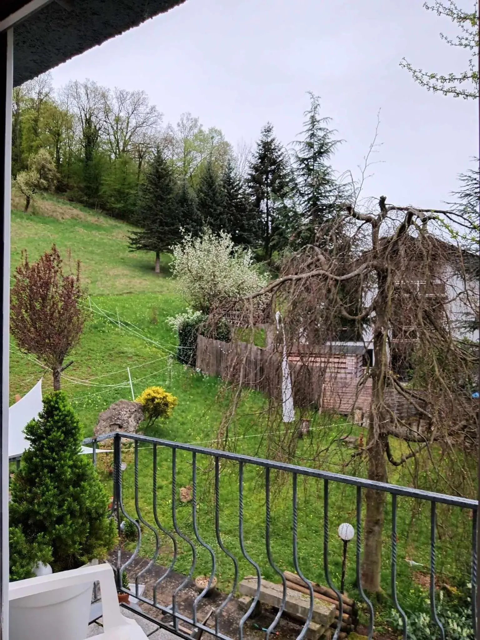 Single Room with Balcony - single occupancy in Pension Eltmann Single Room with Balcony - single occupancy in Pension Eltmann