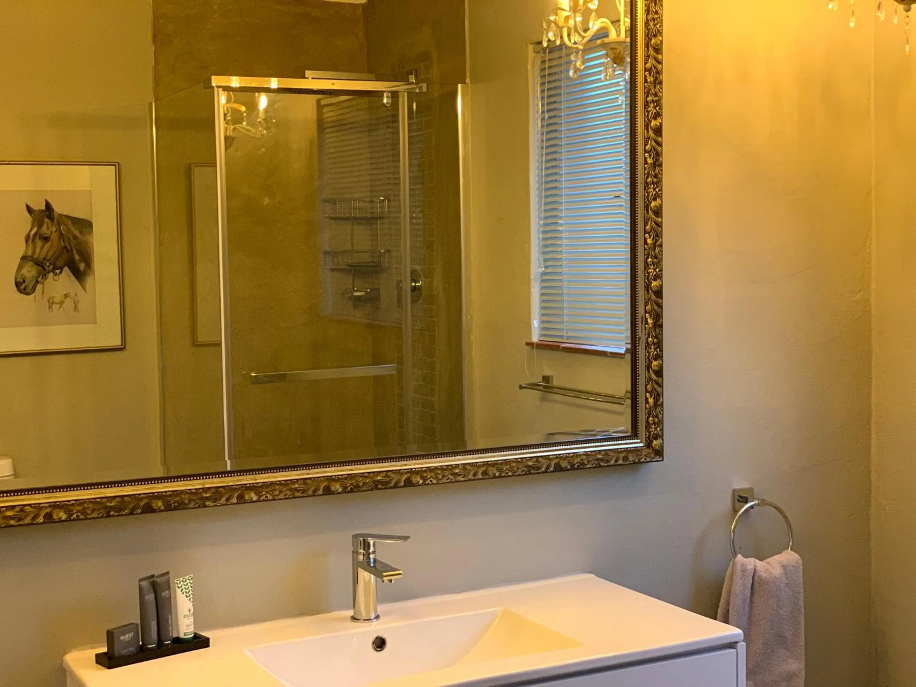 Bathroom in Cavalo Guesthouse & Equestrian Estate