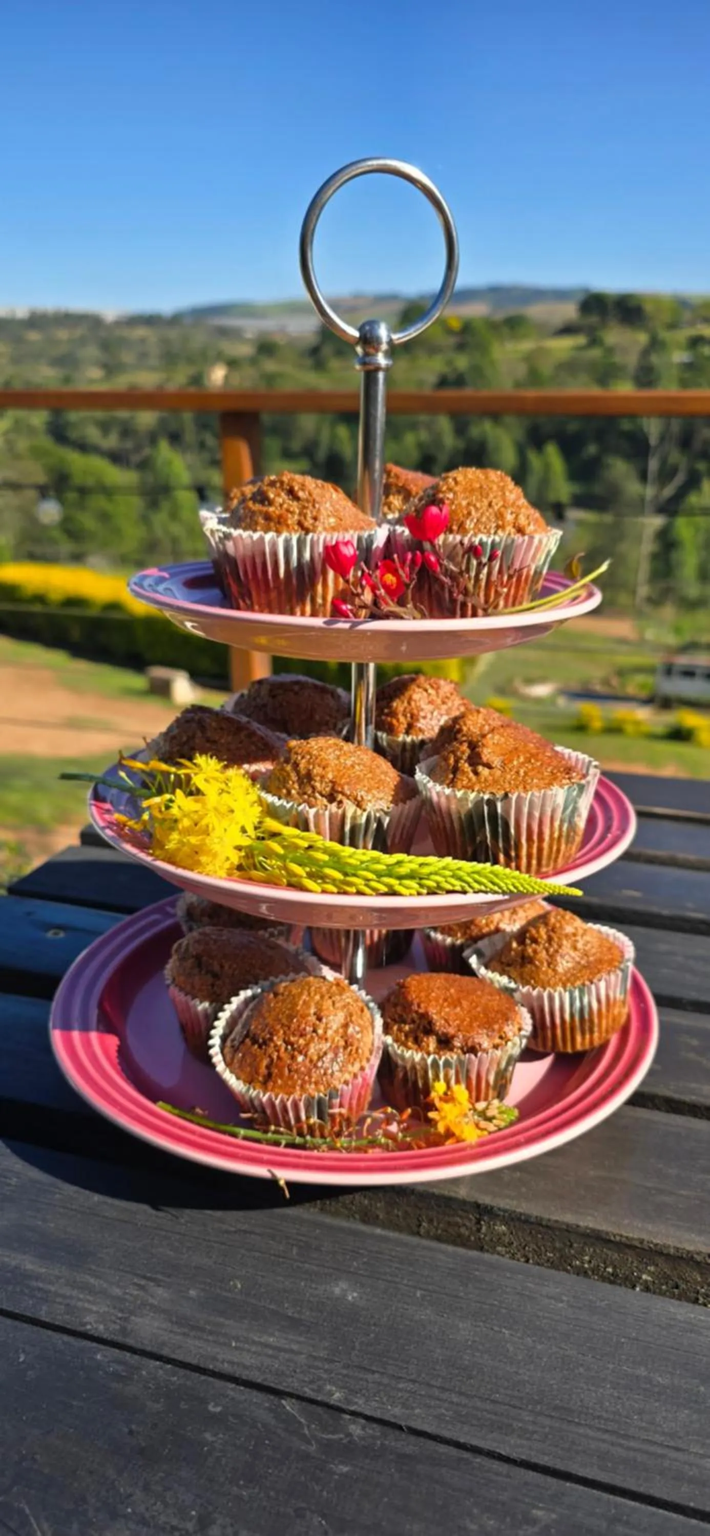 Cavalo Guesthouse & Equestrian Estate