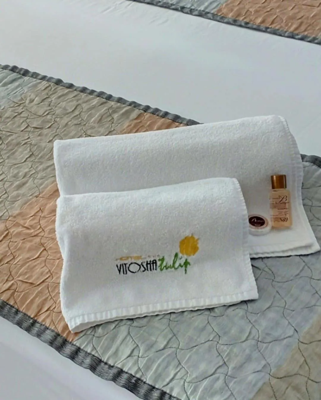 View (from property/room) in Vitoshko Lale Hotel