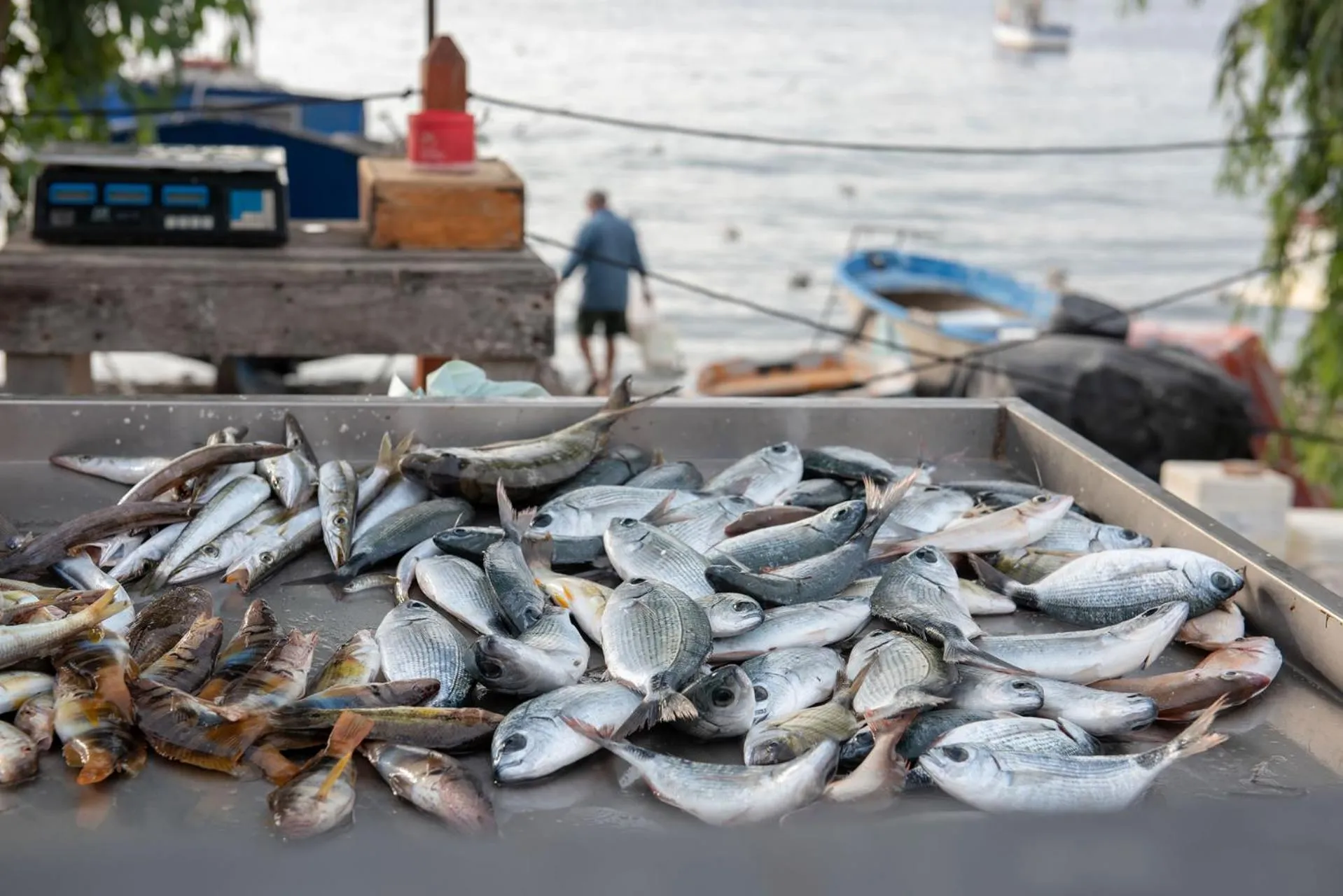 Neighbourhood in Manzoni Elements