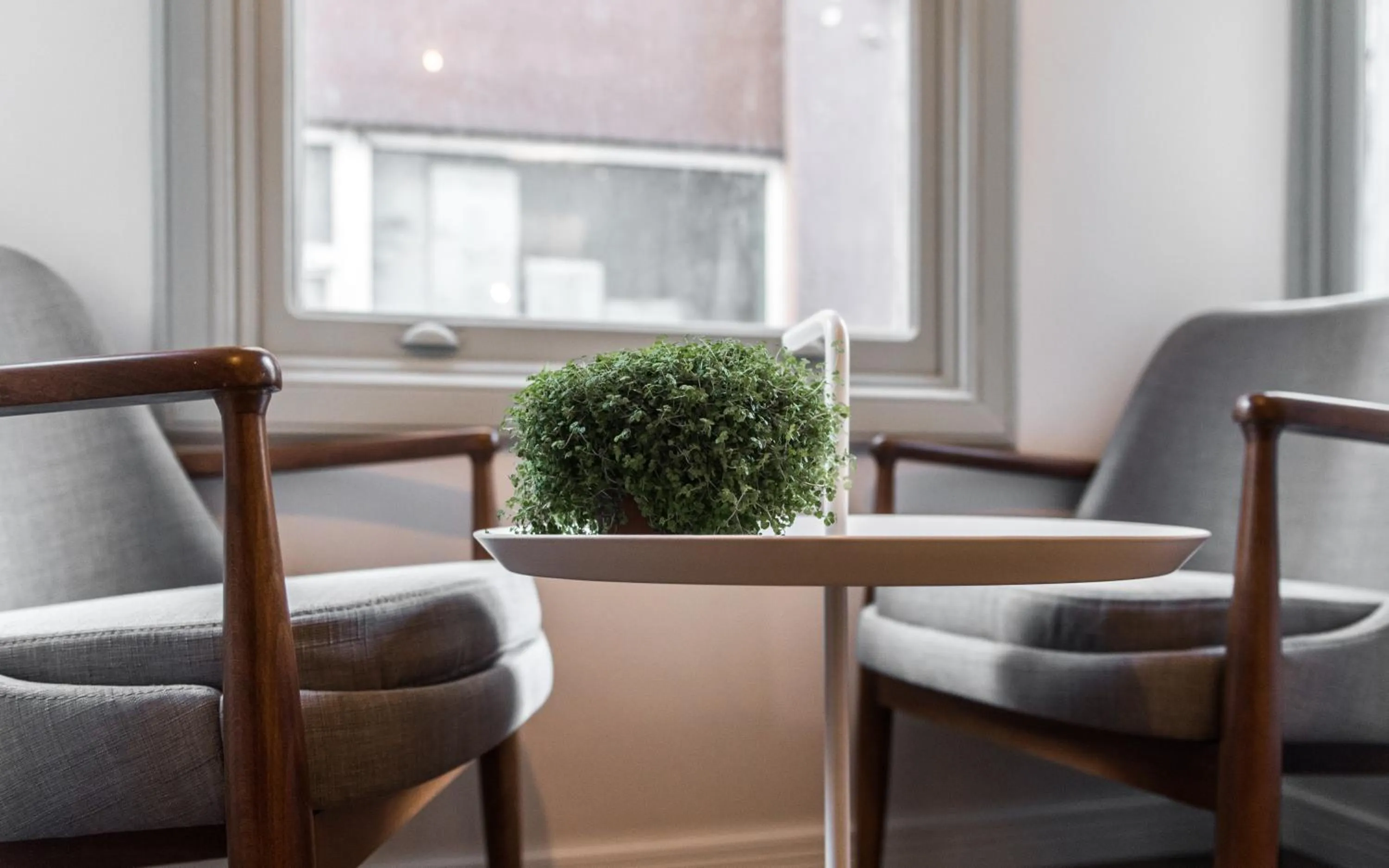 Decorative detail in HAUS Galata