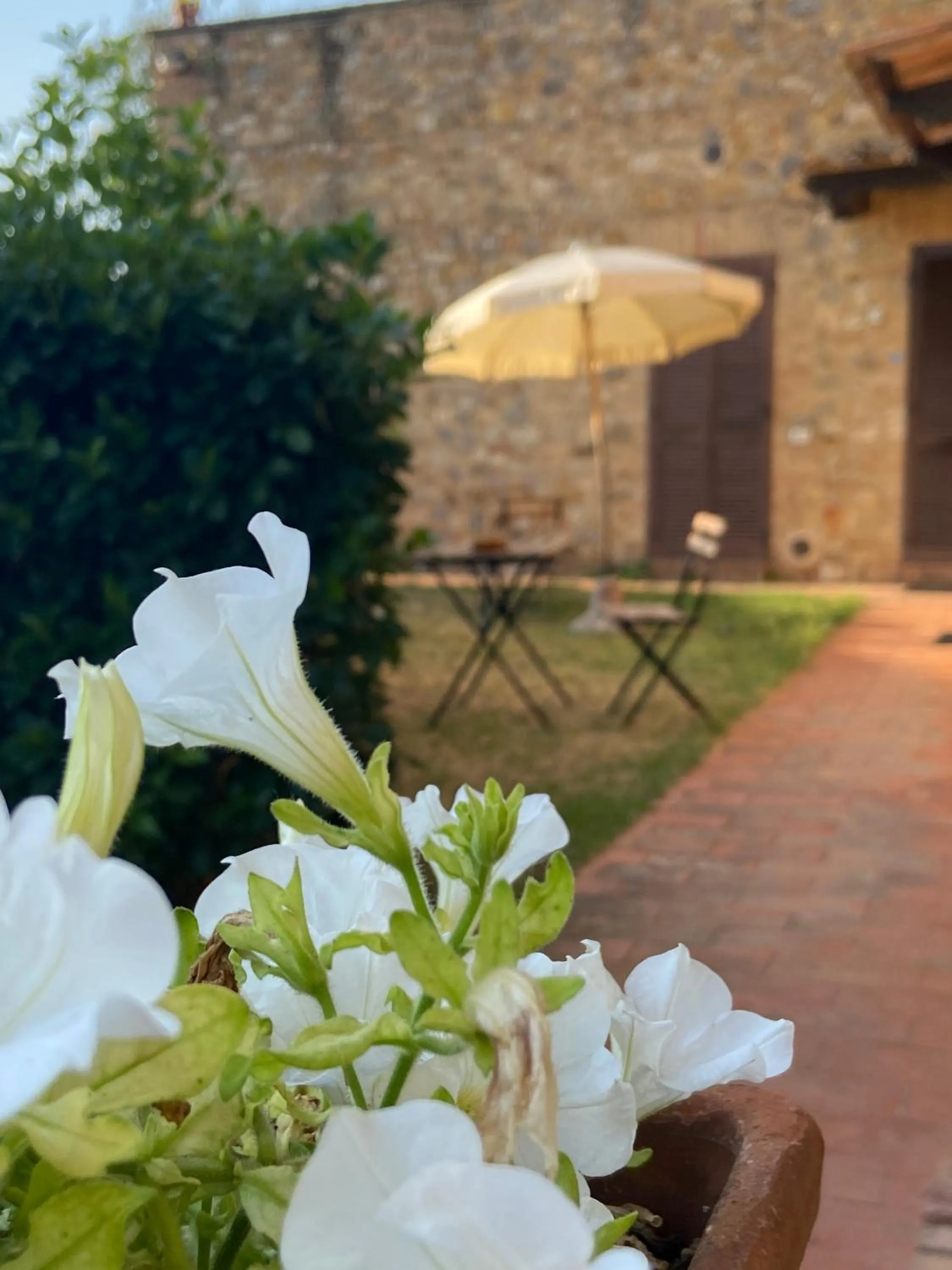 Garden in CasaLeTolfe Residence