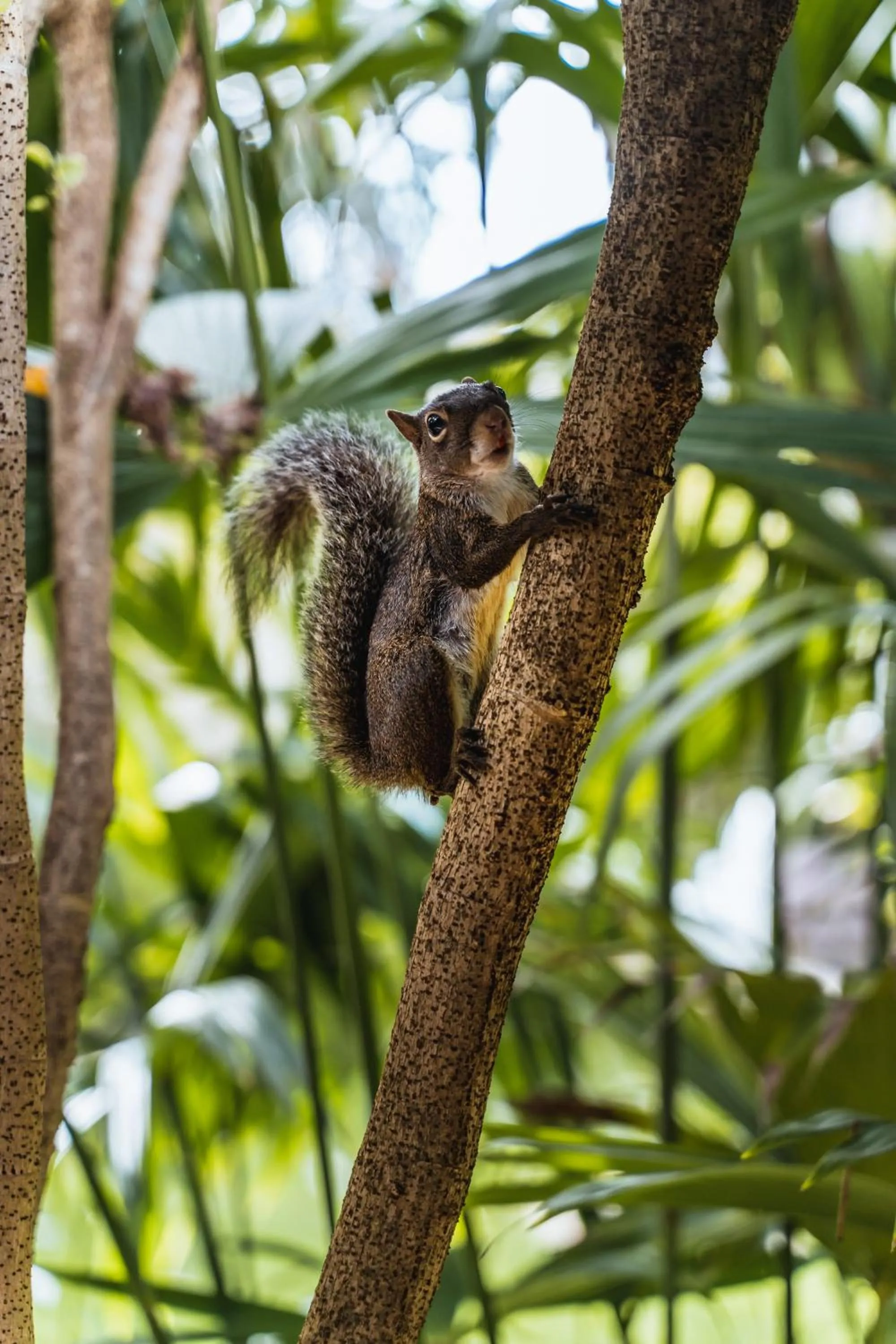 Pousada Caraiva Guest House