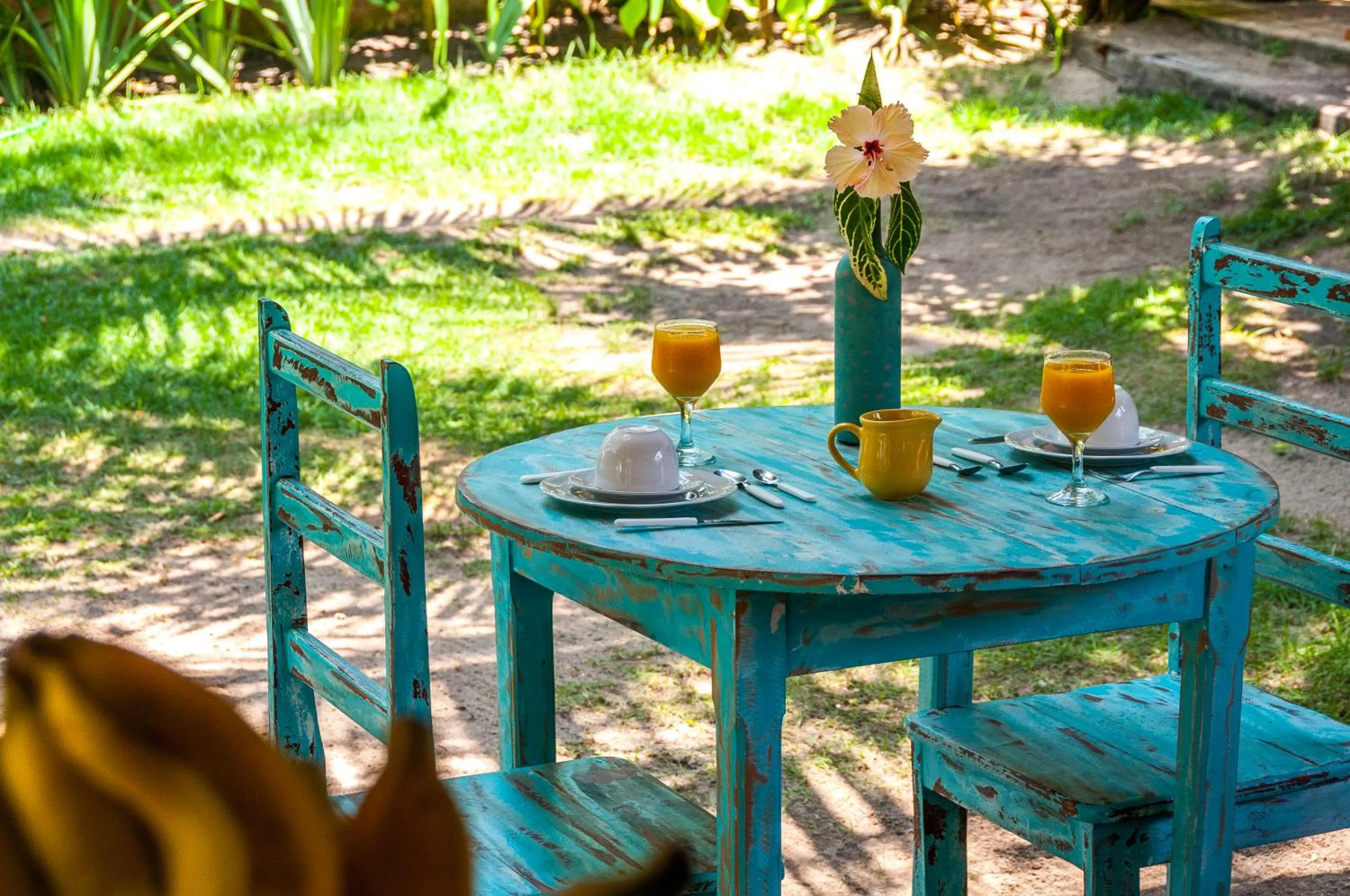 Garden in Pousada Caraiva Guest House