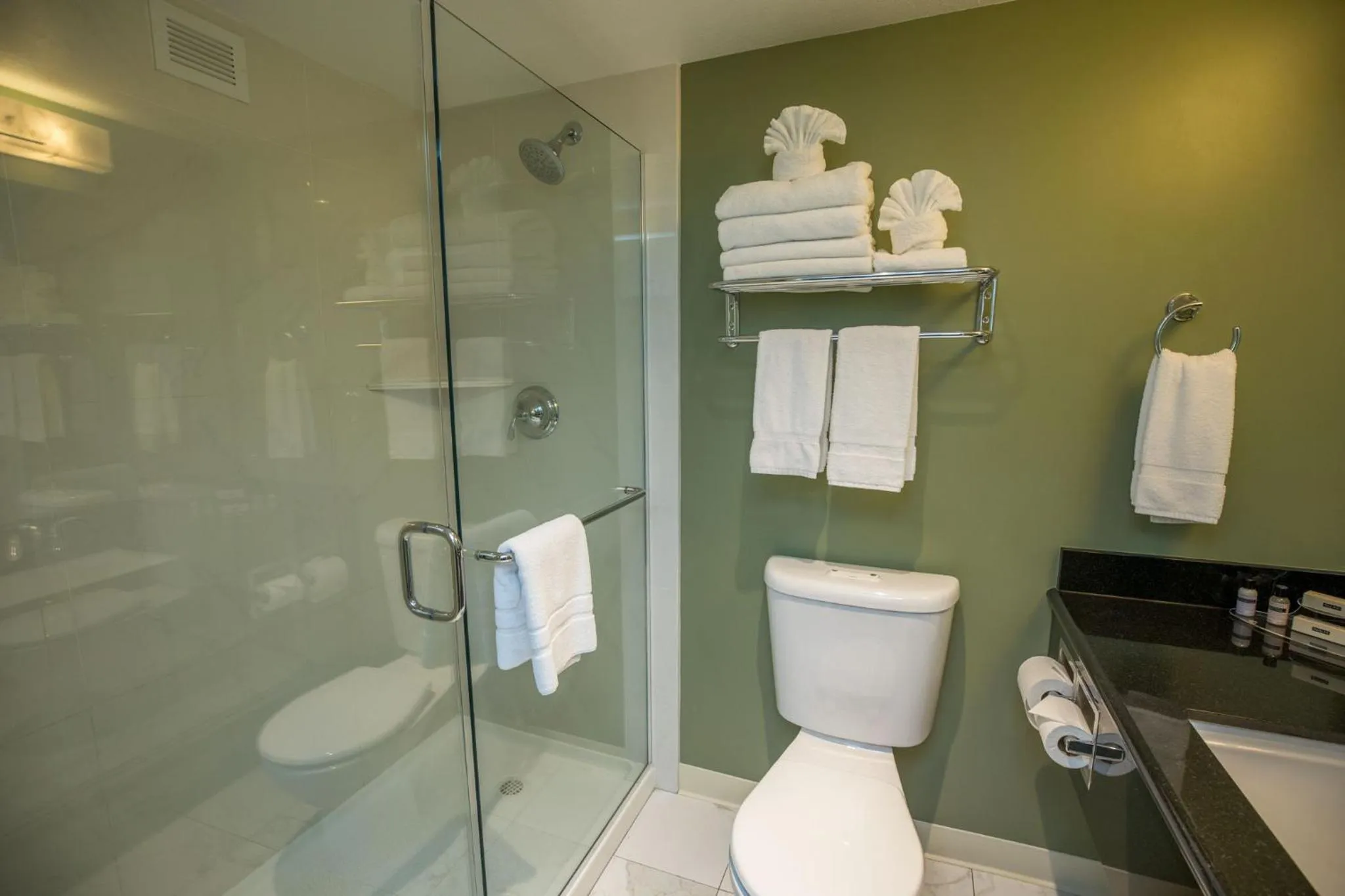 Shower in Maple Tree Inn