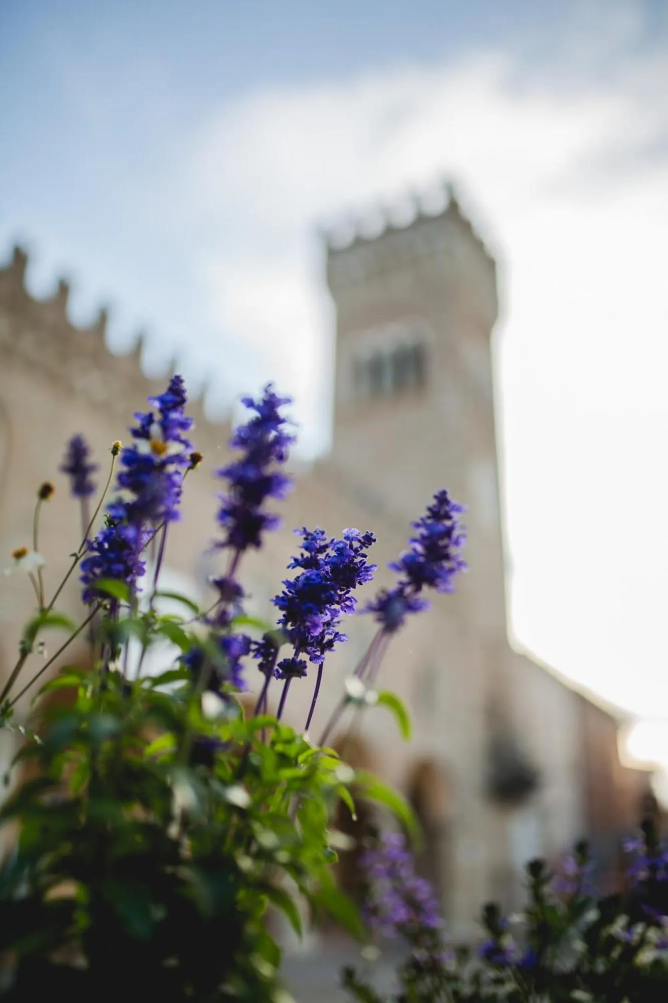 On site in Hotel Panorama