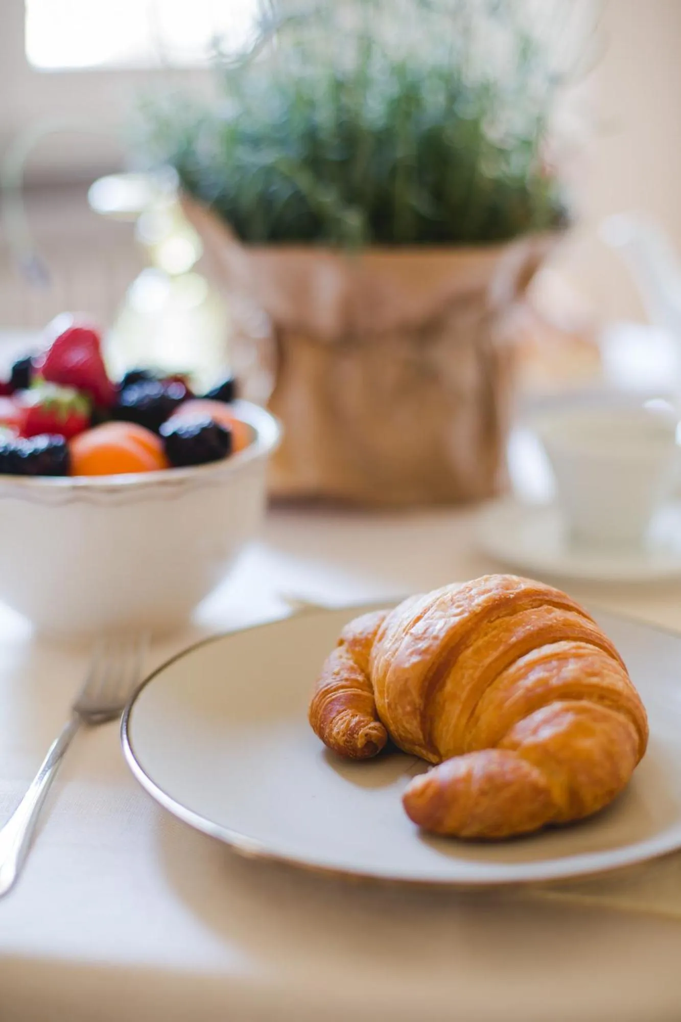 Food and drinks in Hotel Panorama