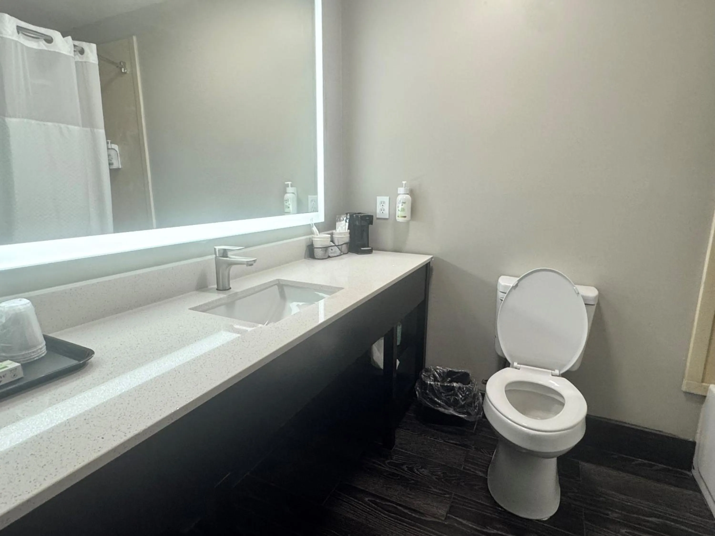 Bathroom in Wingate by Wyndham Biloxi - Ocean Springs