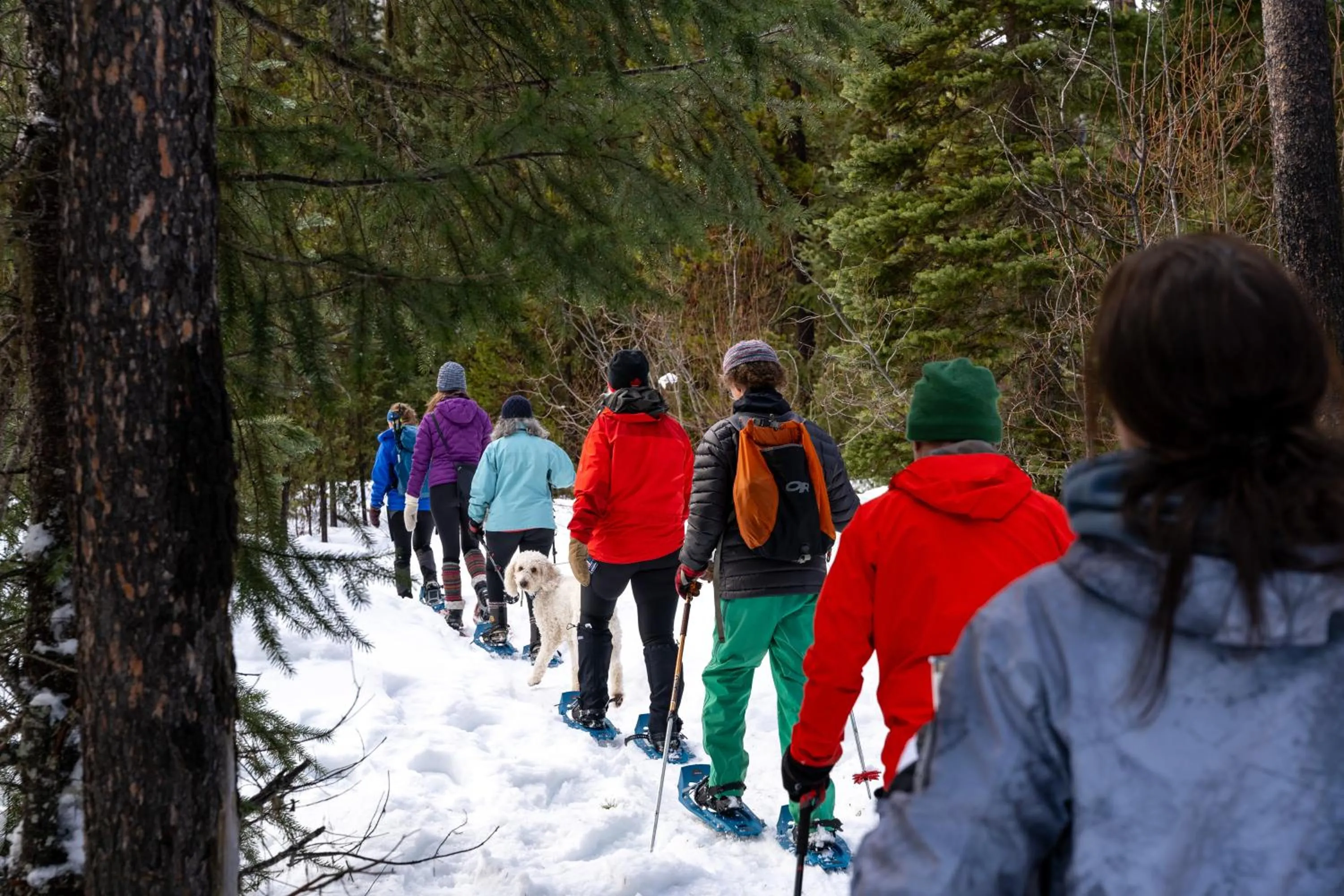 Natural landscape in Manning Park Resort