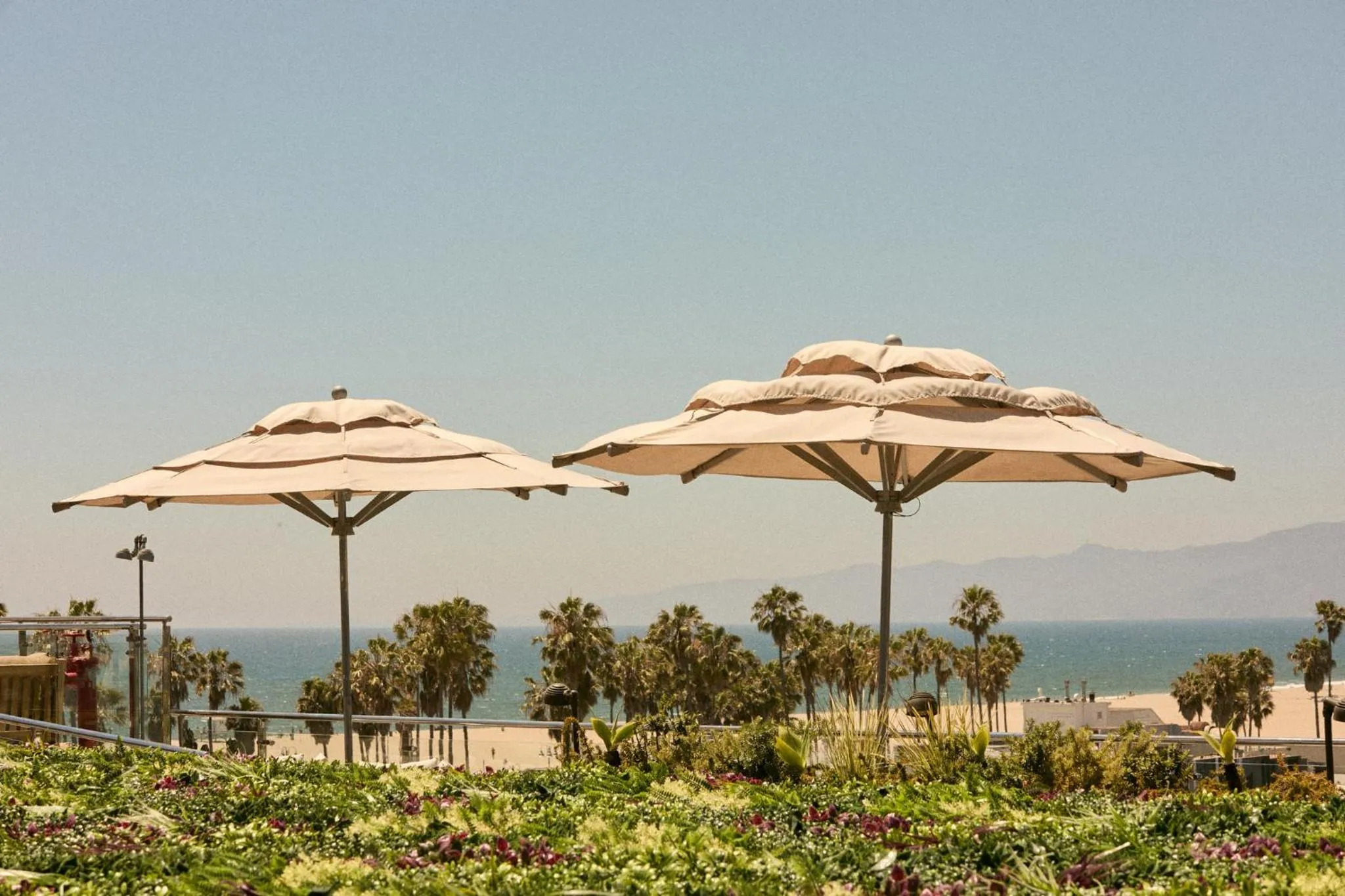 Restaurant/places to eat in Hotel Erwin Venice Beach