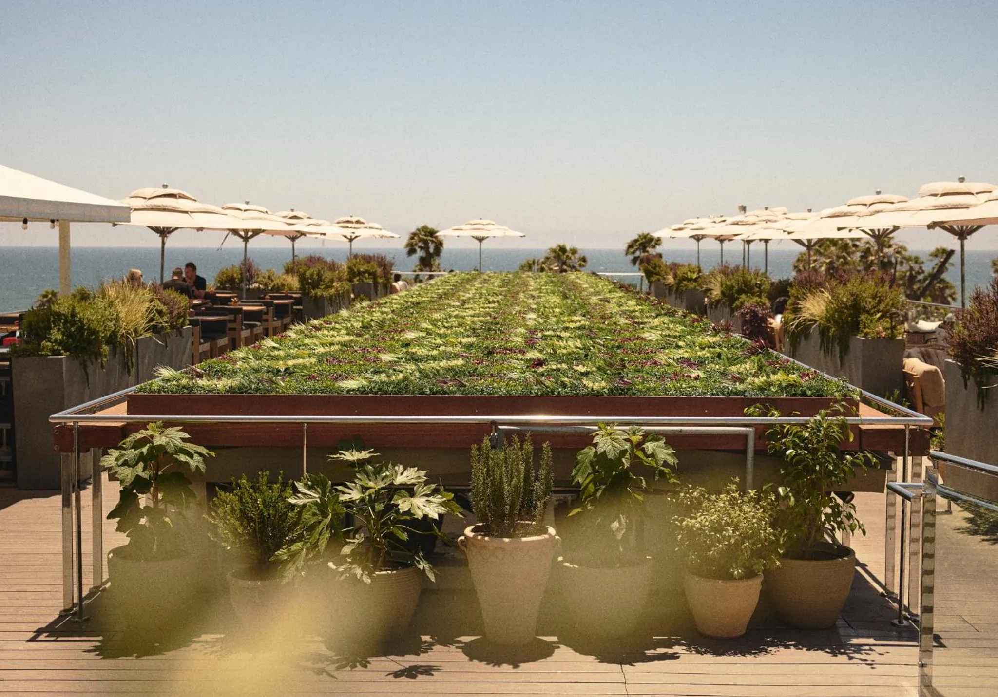 Restaurant/places to eat in Hotel Erwin Venice Beach