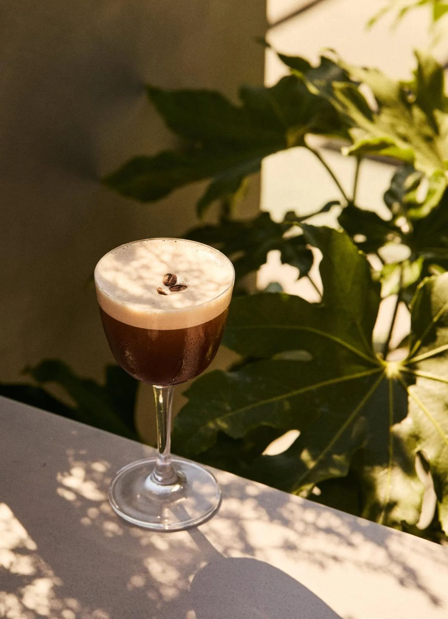 Restaurant/places to eat in Hotel Erwin Venice Beach