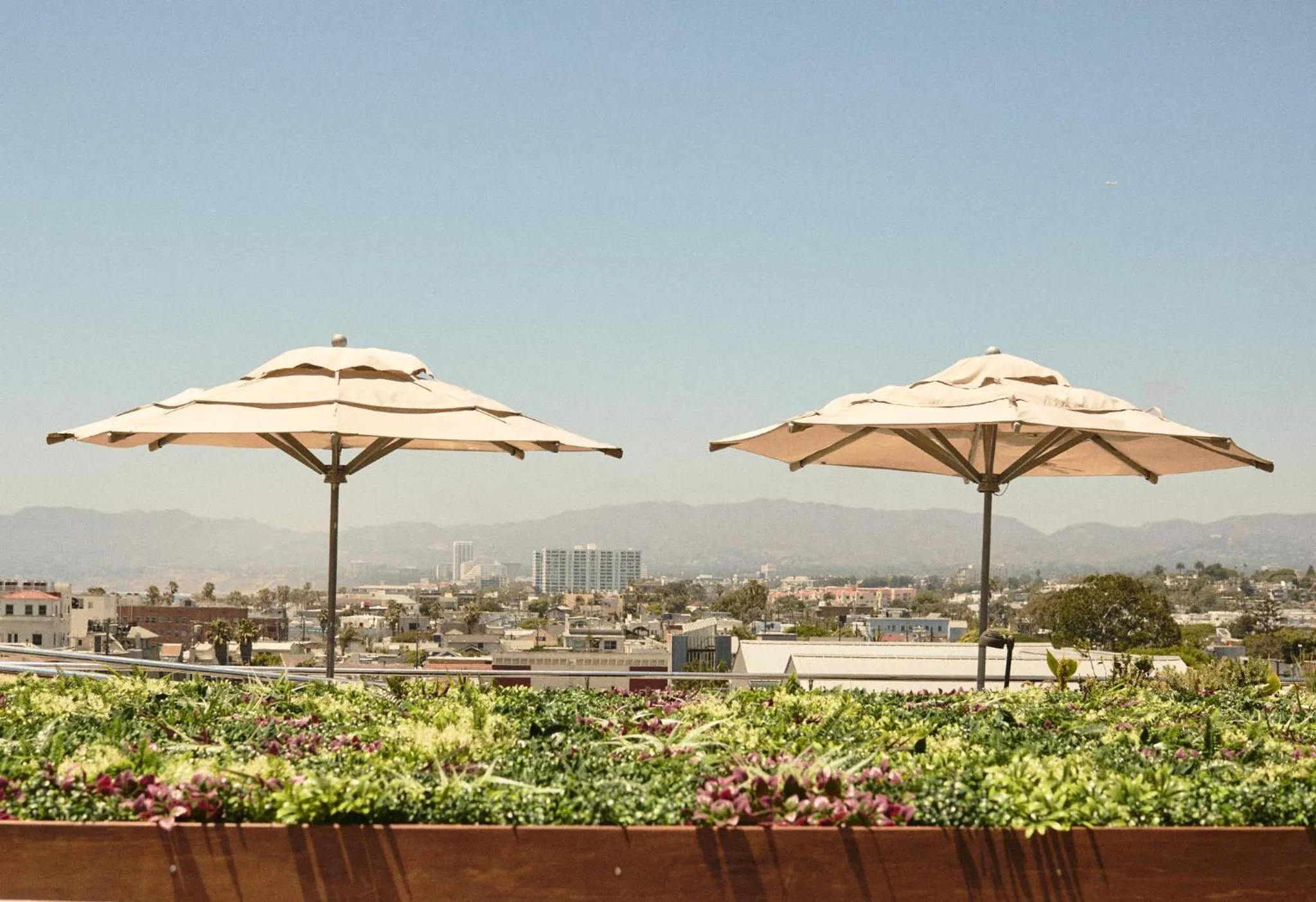 Restaurant/places to eat in Hotel Erwin Venice Beach