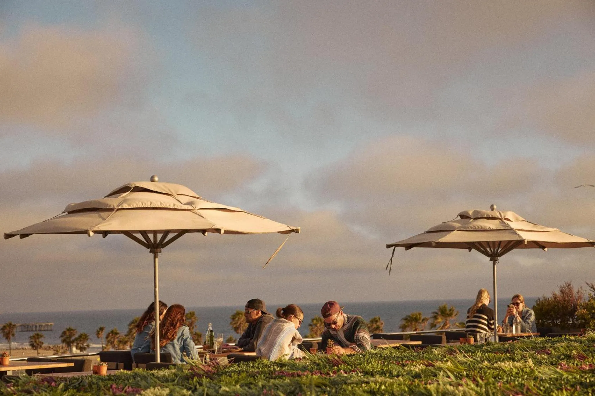 Restaurant/places to eat in Hotel Erwin Venice Beach