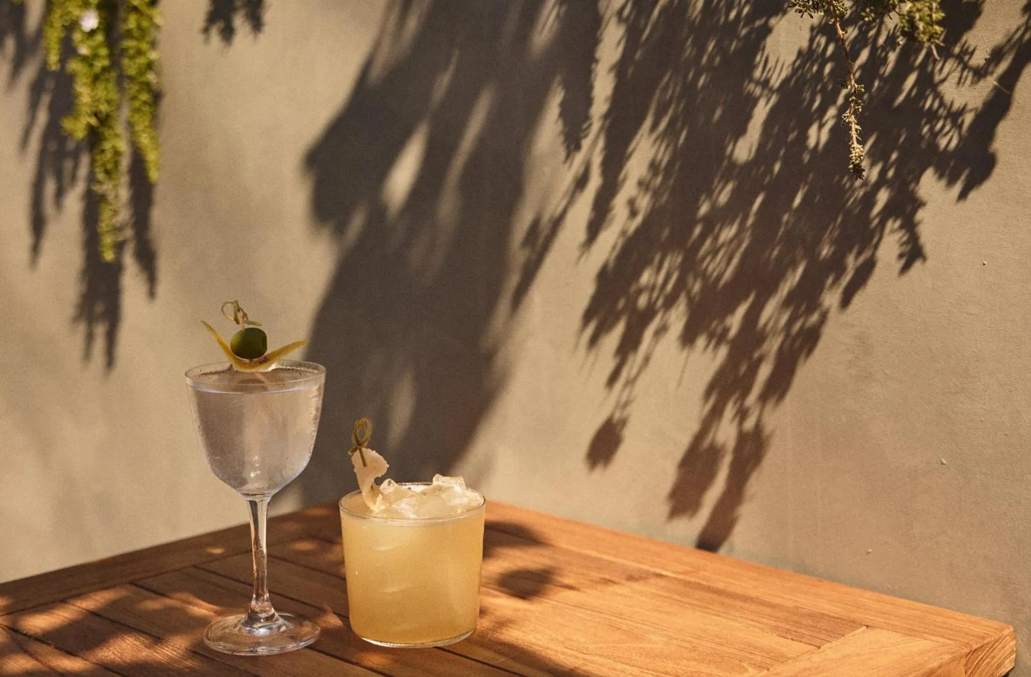 Restaurant/places to eat in Hotel Erwin Venice Beach