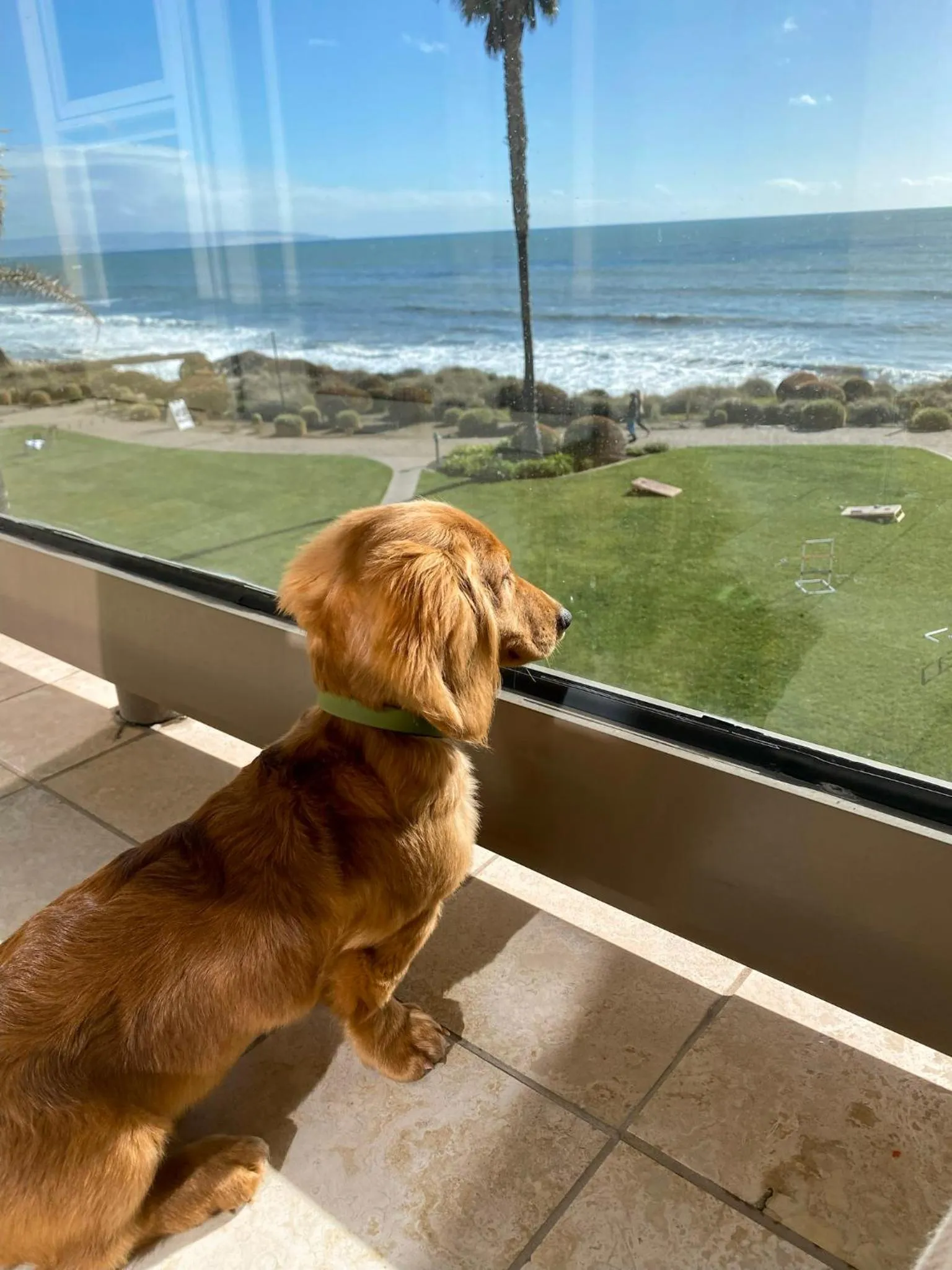 Dolphin Bay Resort and Spa