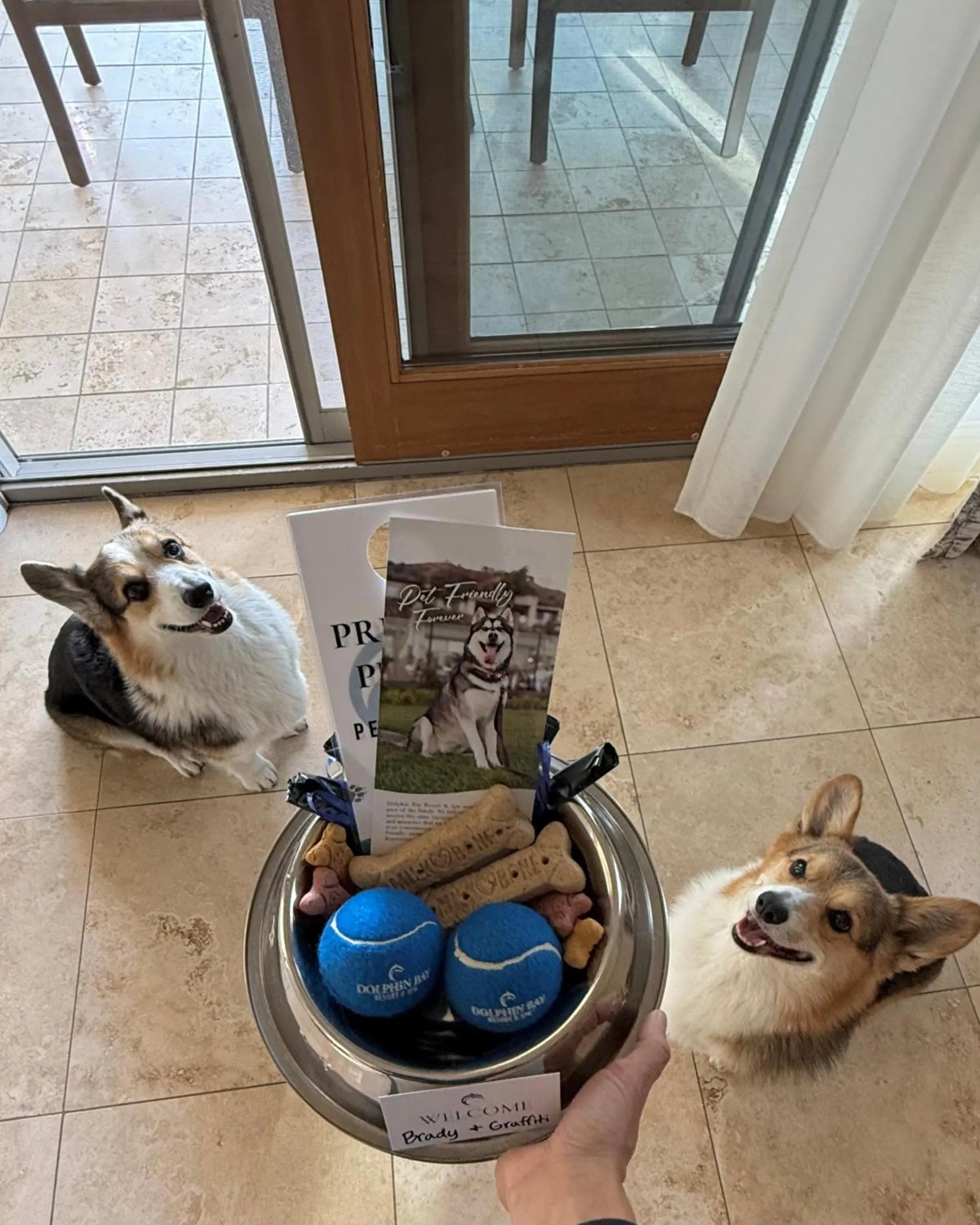 Dolphin Bay Resort and Spa