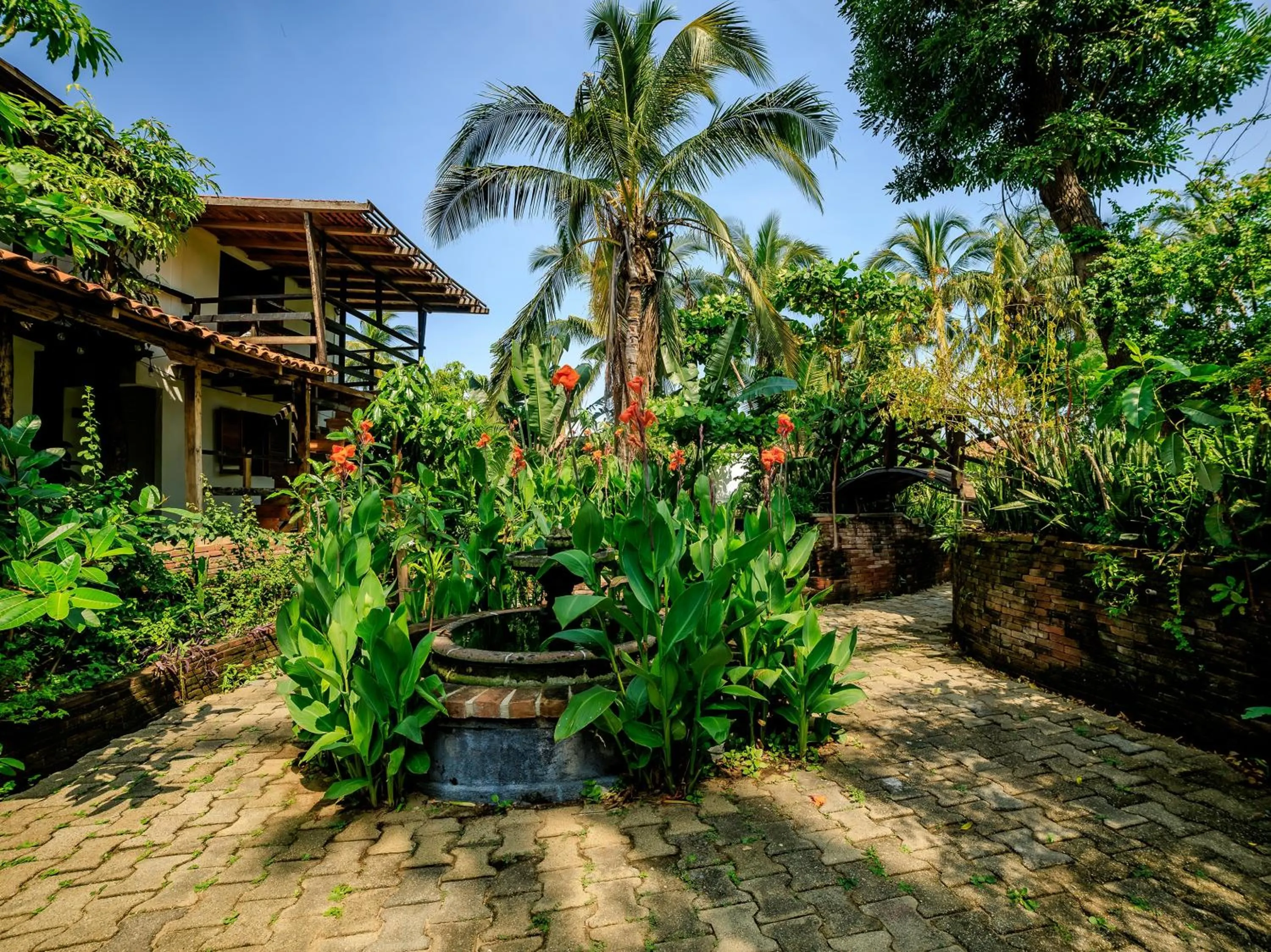 Garden in Capital O Verdemar, Pie de la Cuesta