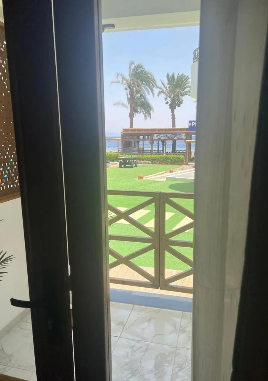 Penguin Village Dahab