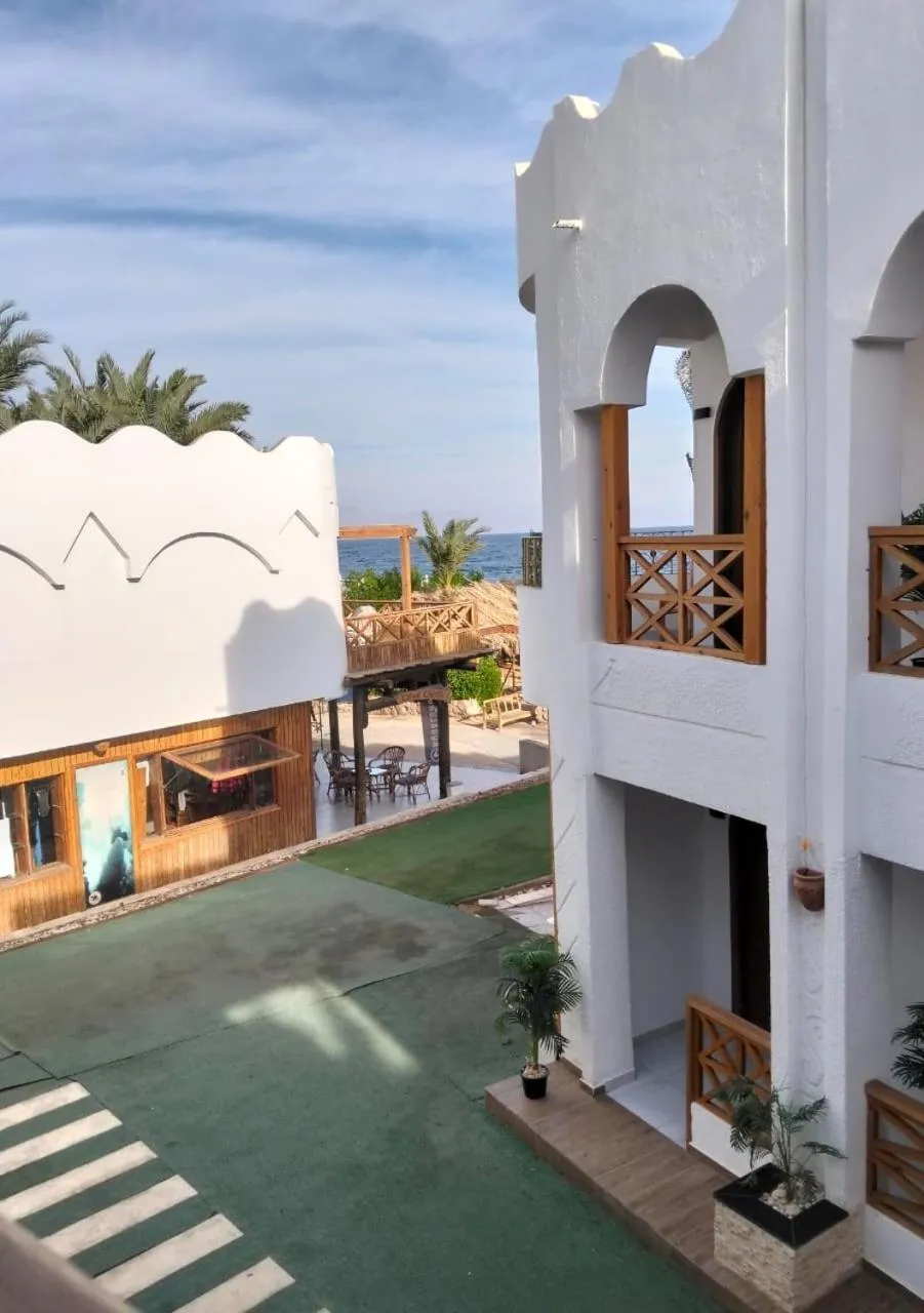 Penguin Village Dahab