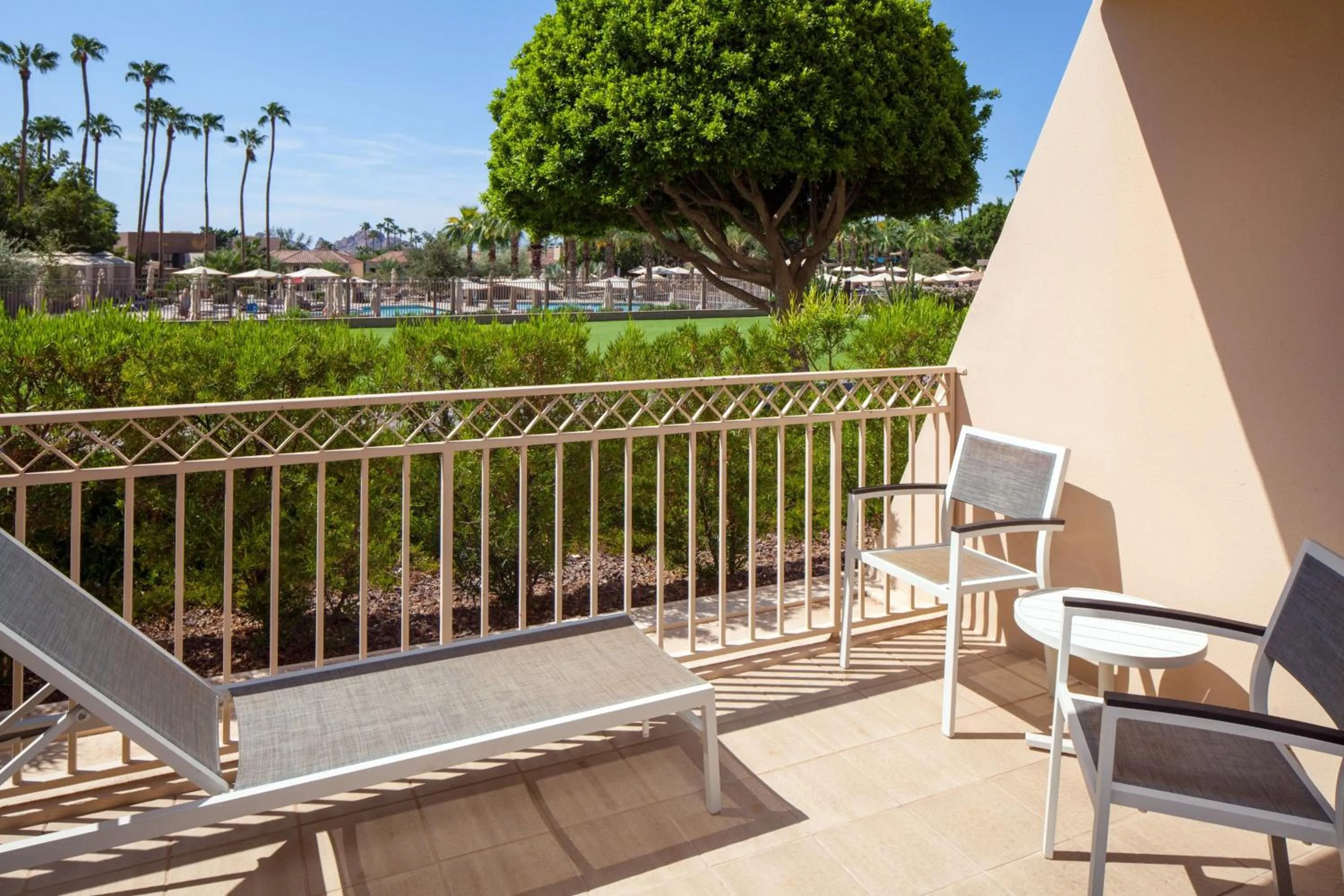 Photo of the whole room in The Phoenician, a Luxury Collection Resort, Scottsdale