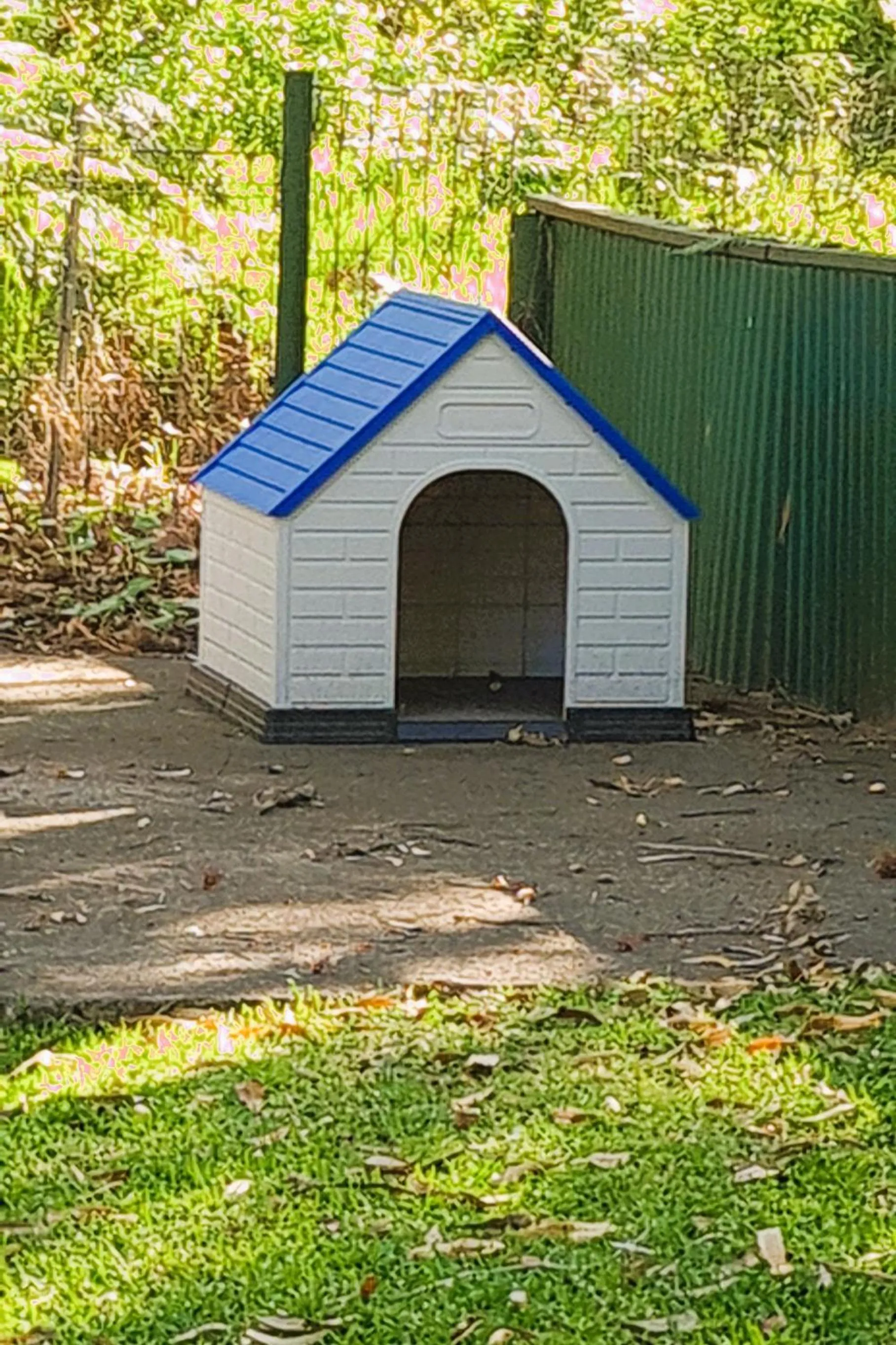 Pets in The Retreat Port Stephens