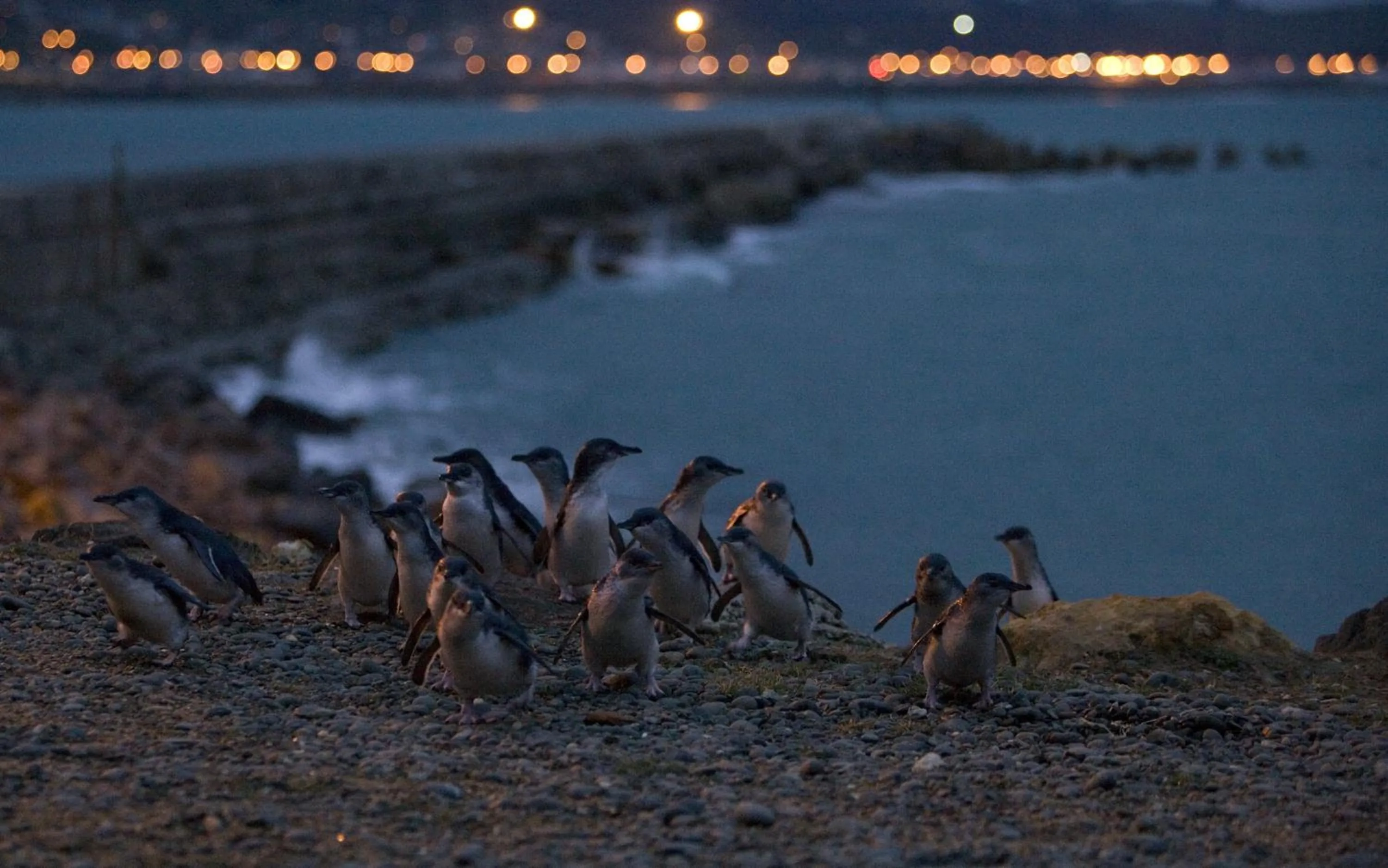 Natural landscape in Alpine Motel