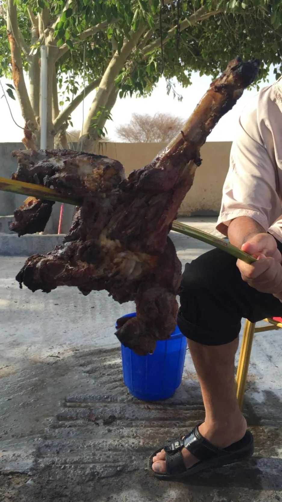 Day in Oriental Nights Rest House