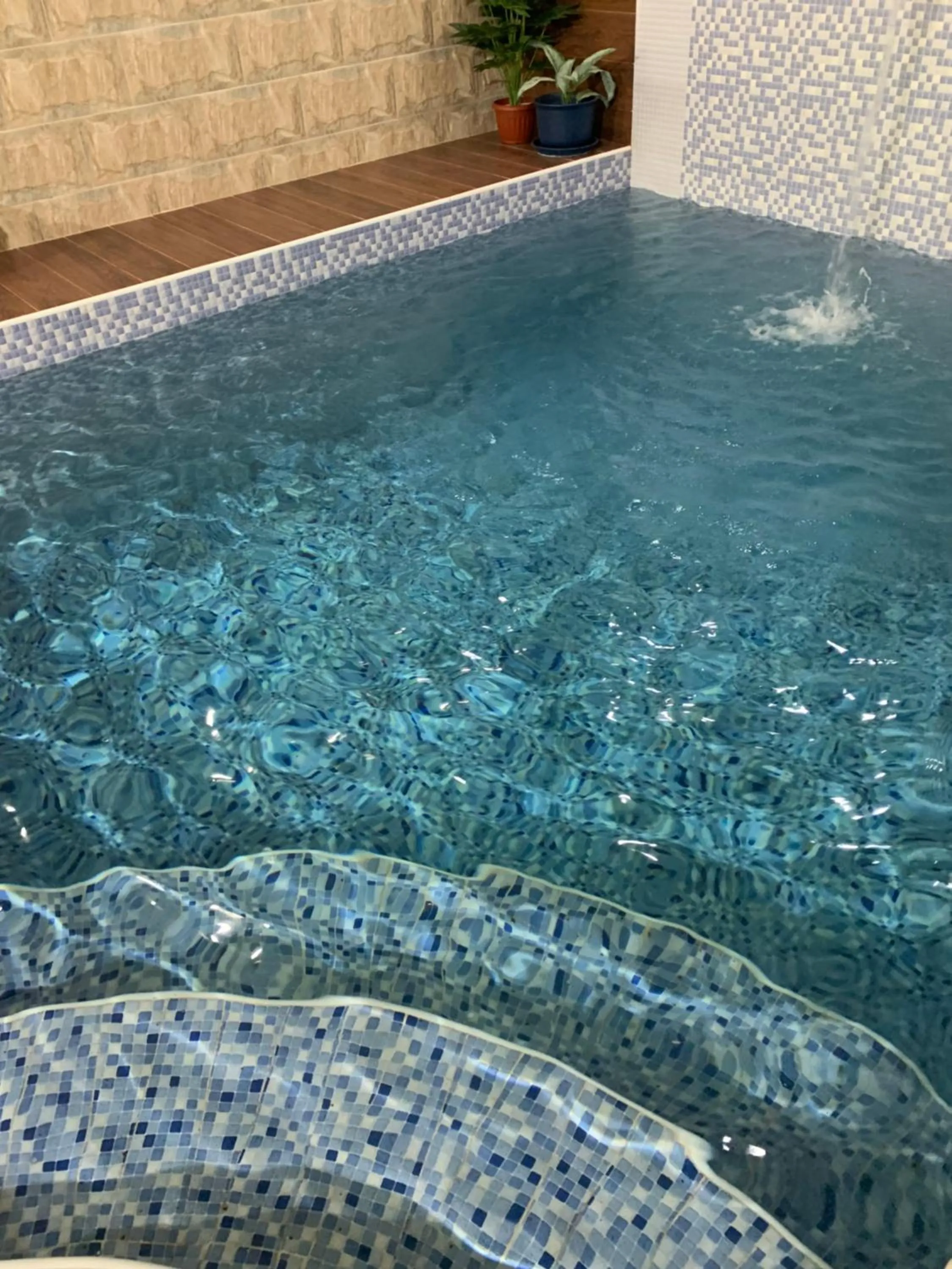 Swimming pool in Oriental Nights Rest House