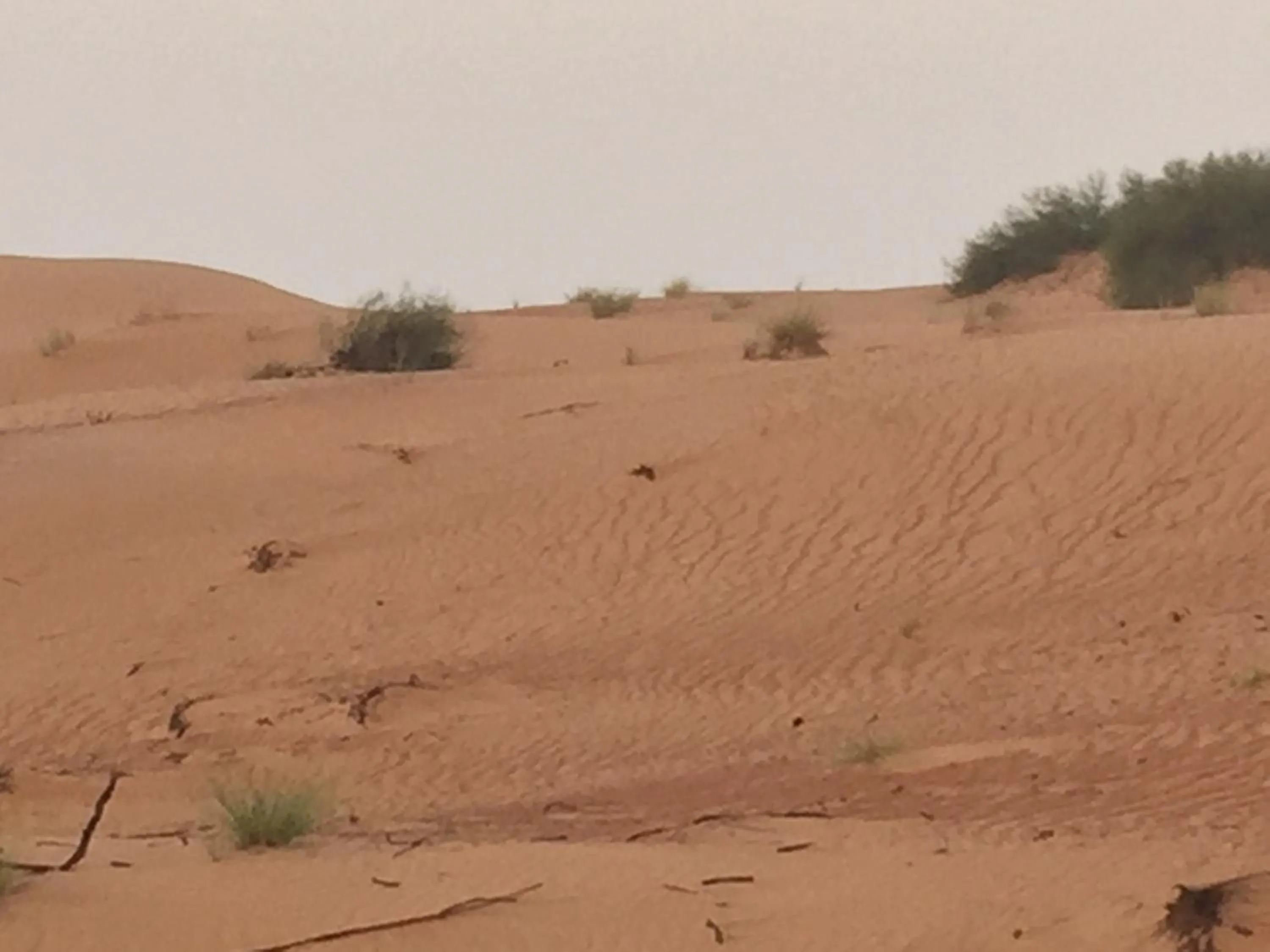 Nearby landmark in Oriental Nights Rest House