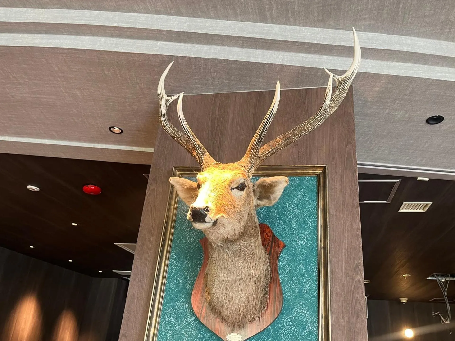Children play ground in Shiretoko Noble Hotel