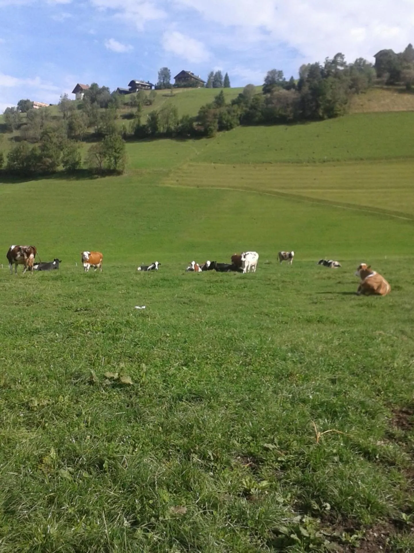 Natural landscape in Garnì Iosc