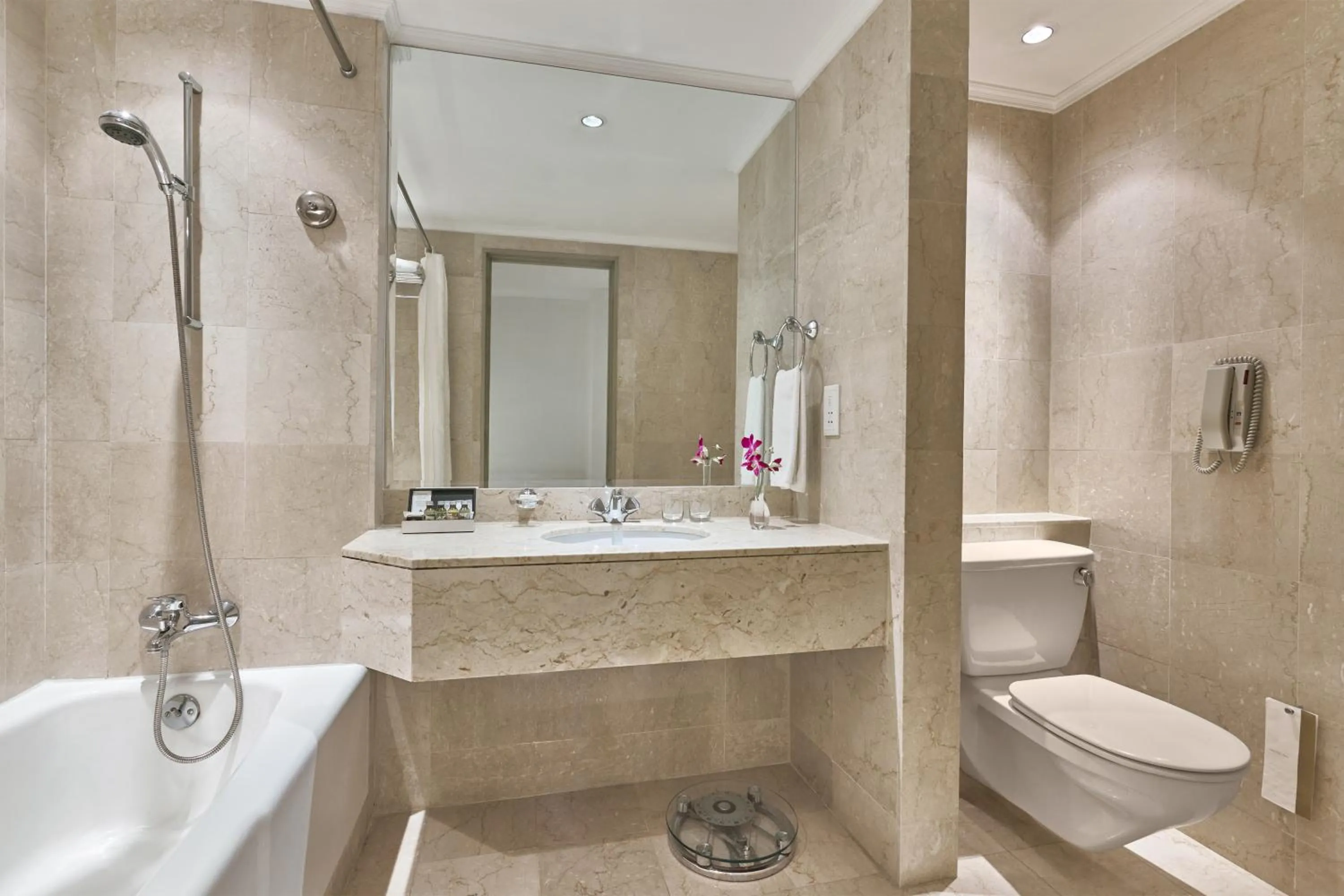 Toilet in Goodwood Park Hotel