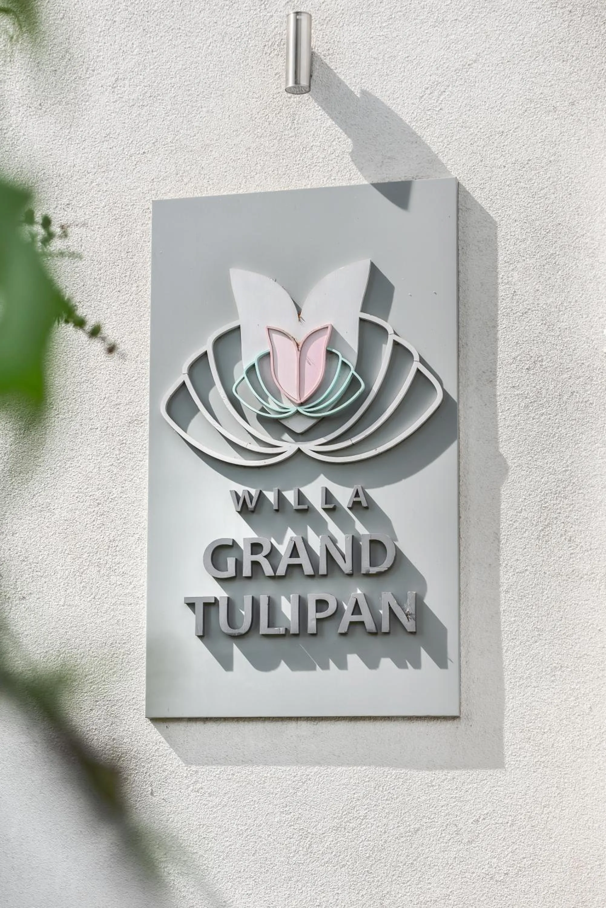 Grand Tulipan