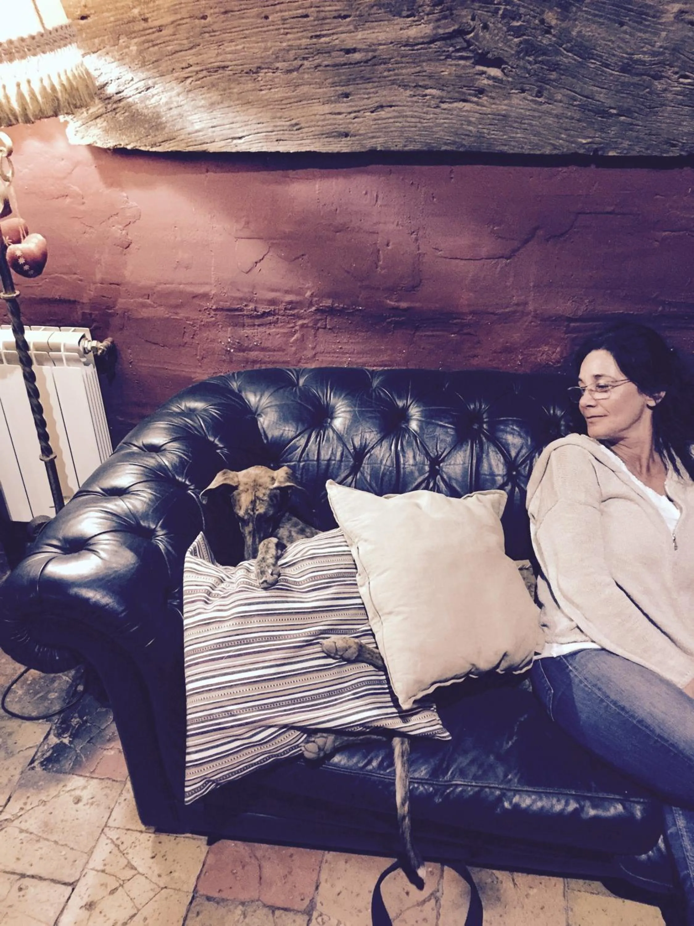 Pets in Mas Torrencito Pet Friendly