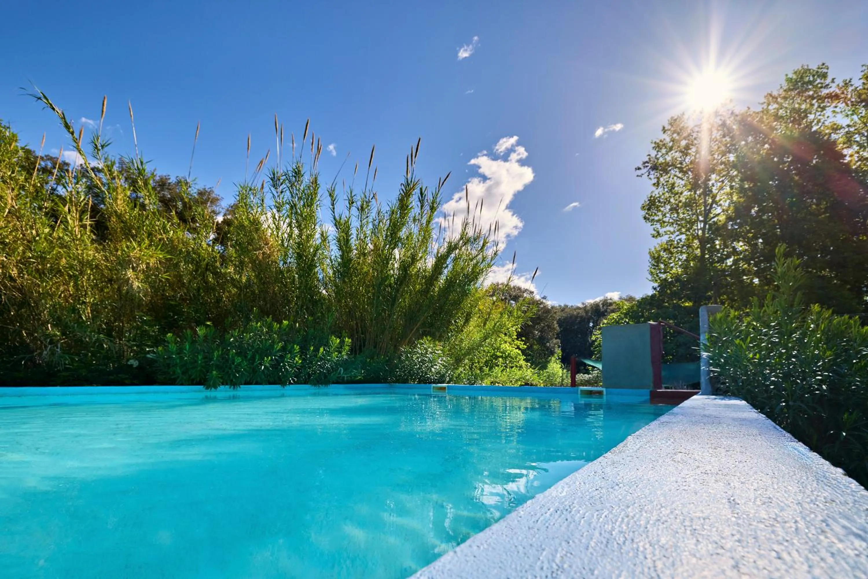 Swimming pool in Mas Torrencito Pet Friendly