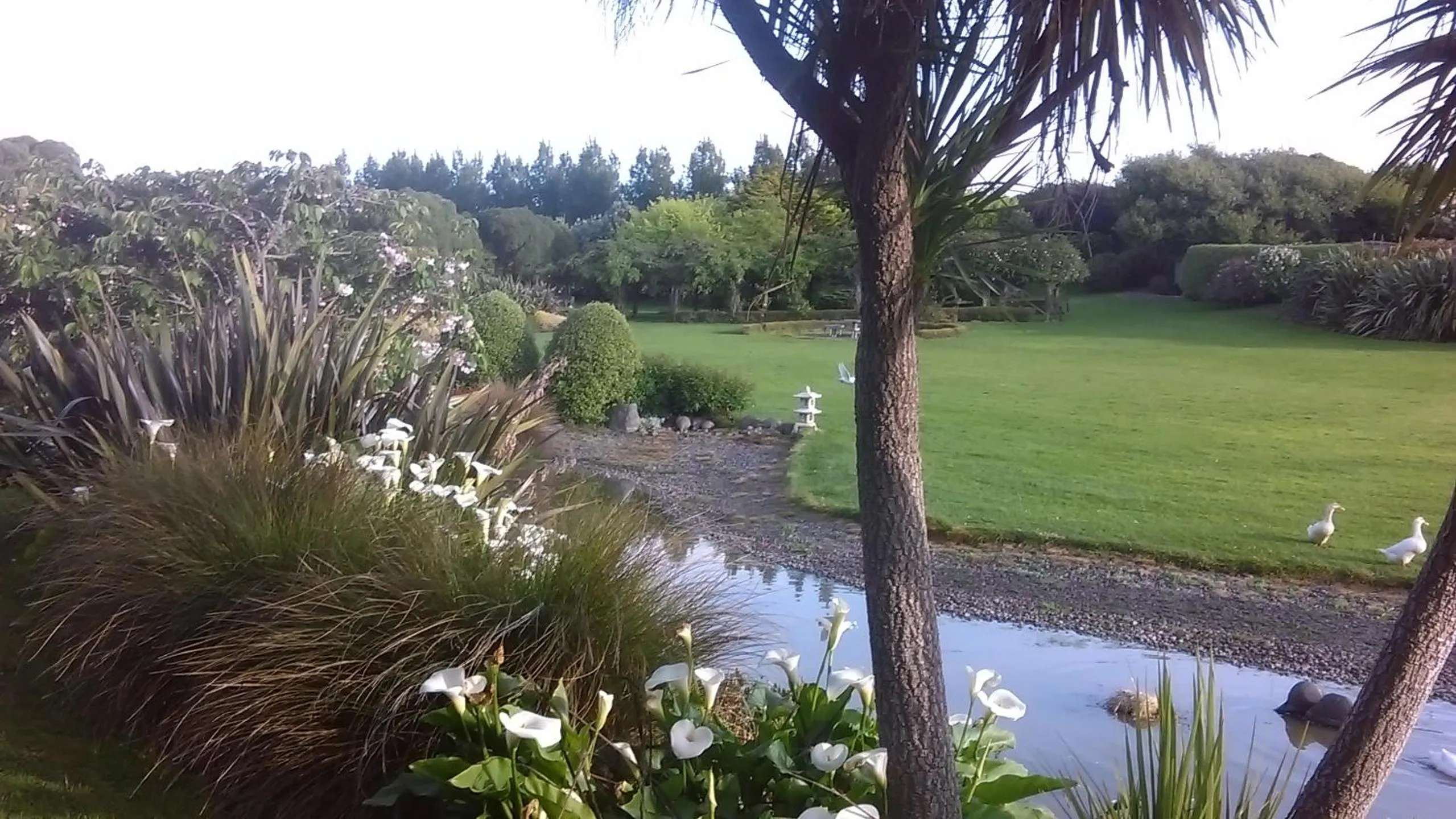 Lake view in Shurinji
