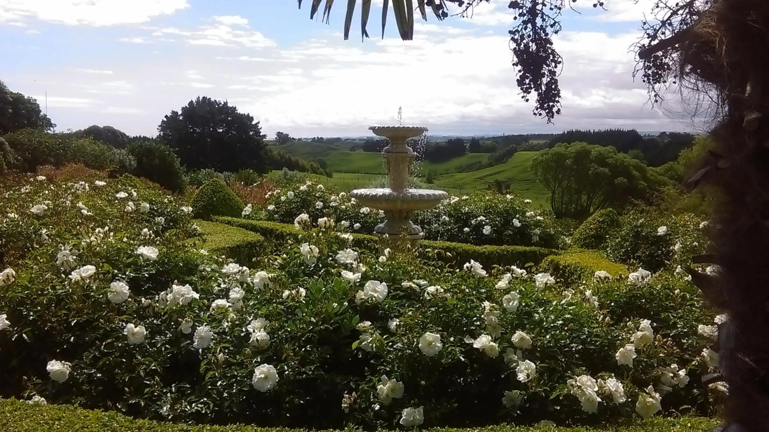 Garden view in Shurinji