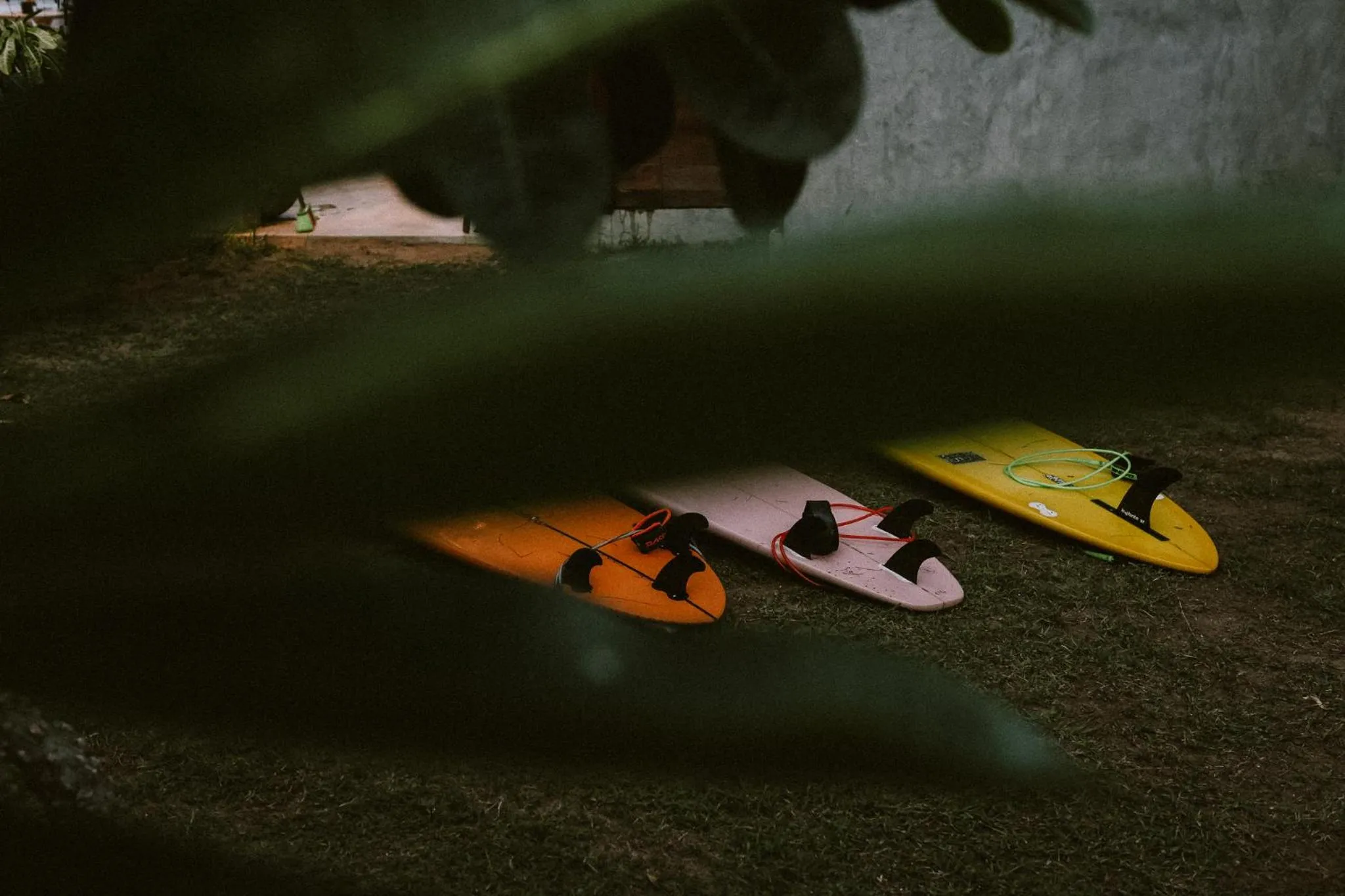 Activities in Stay Golden