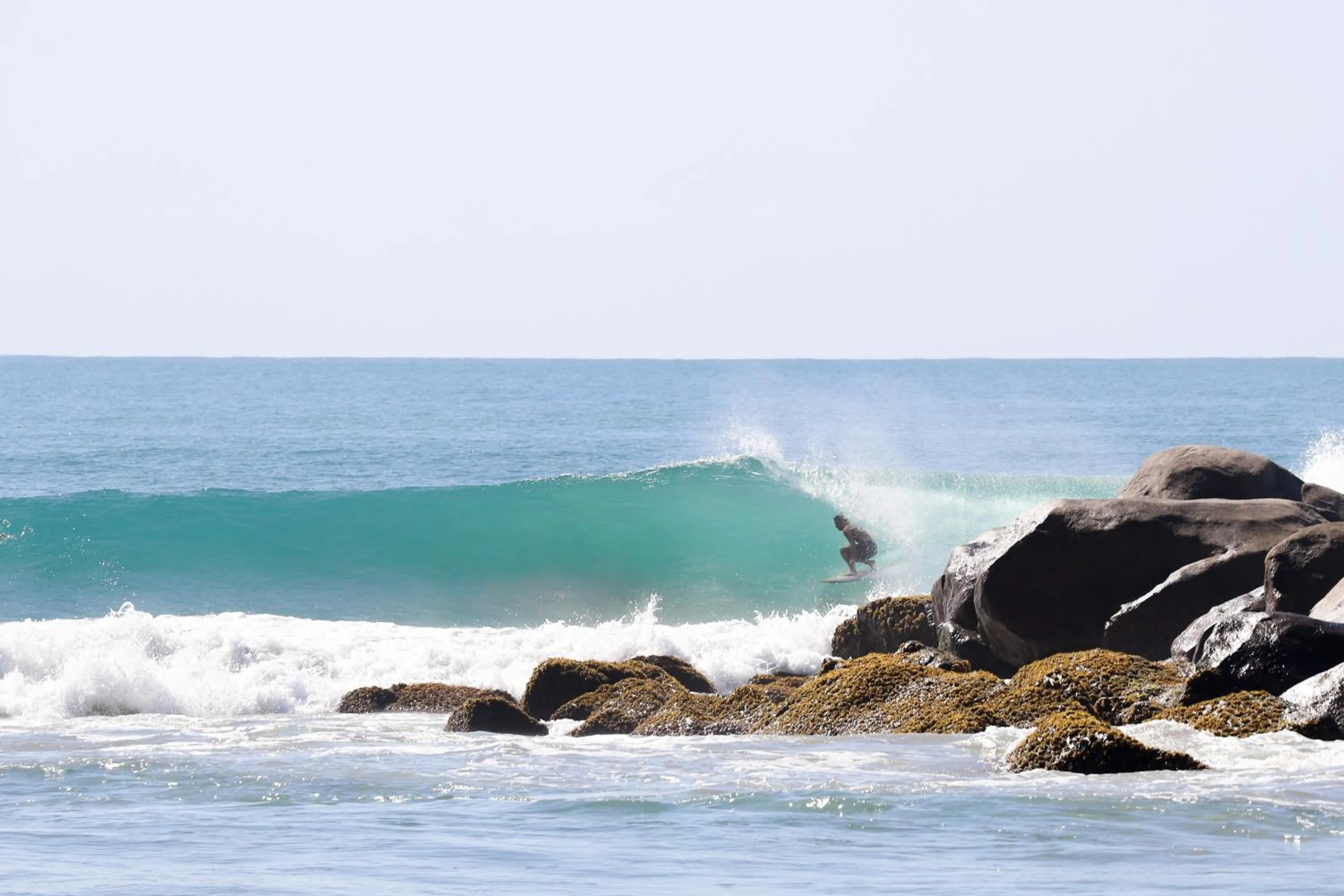 Activities in Stay Golden