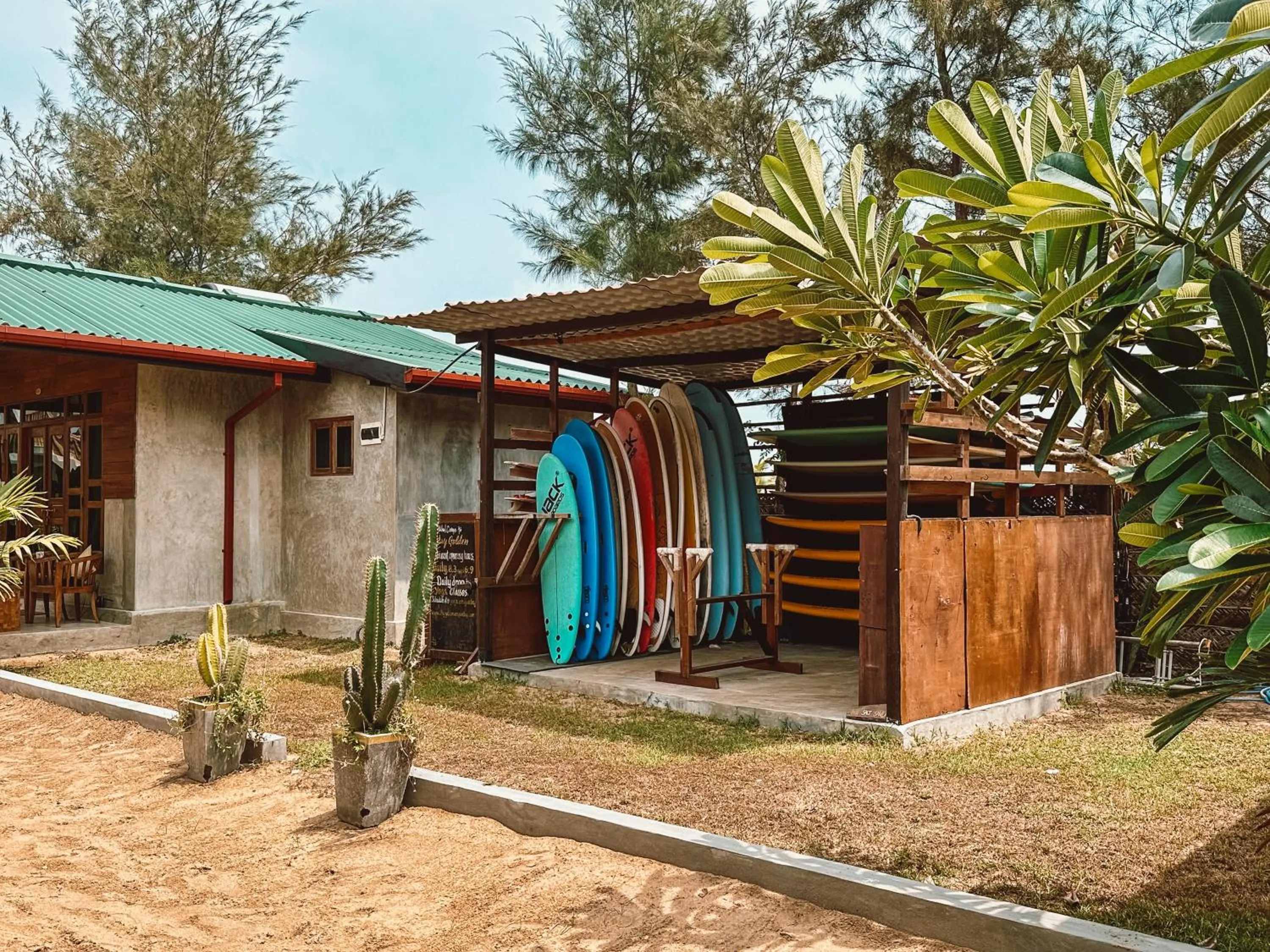 Activities in Stay Golden