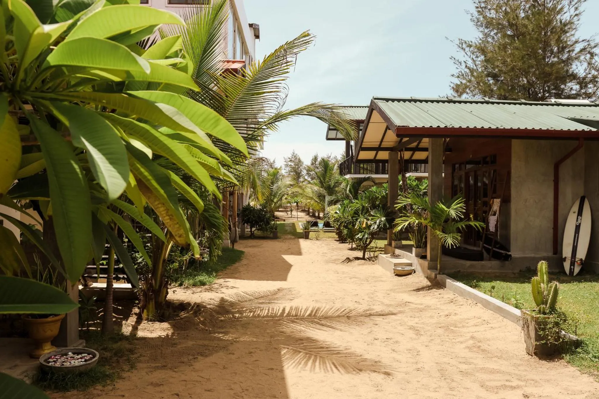 Garden in Stay Golden