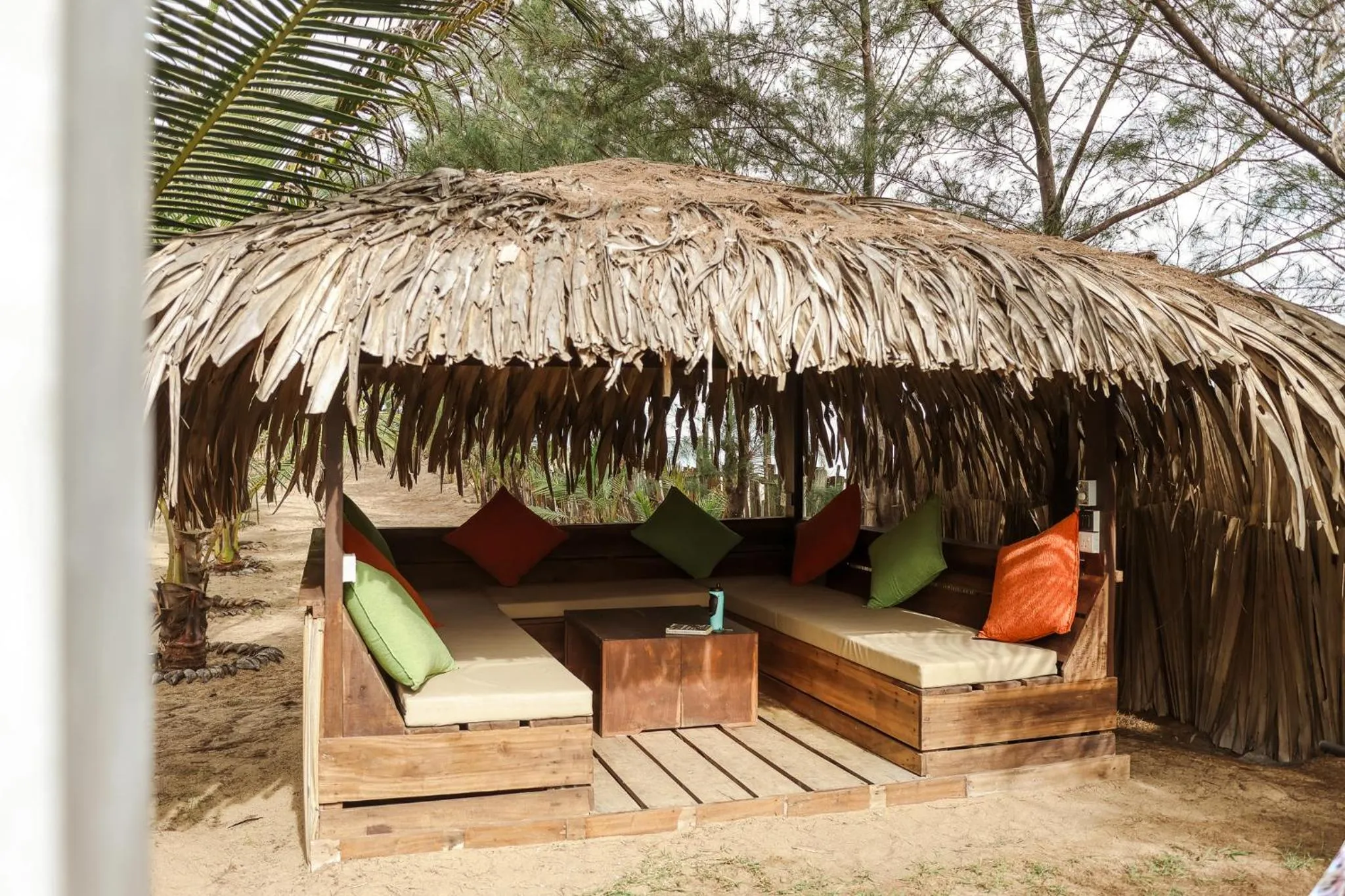 Garden in Stay Golden